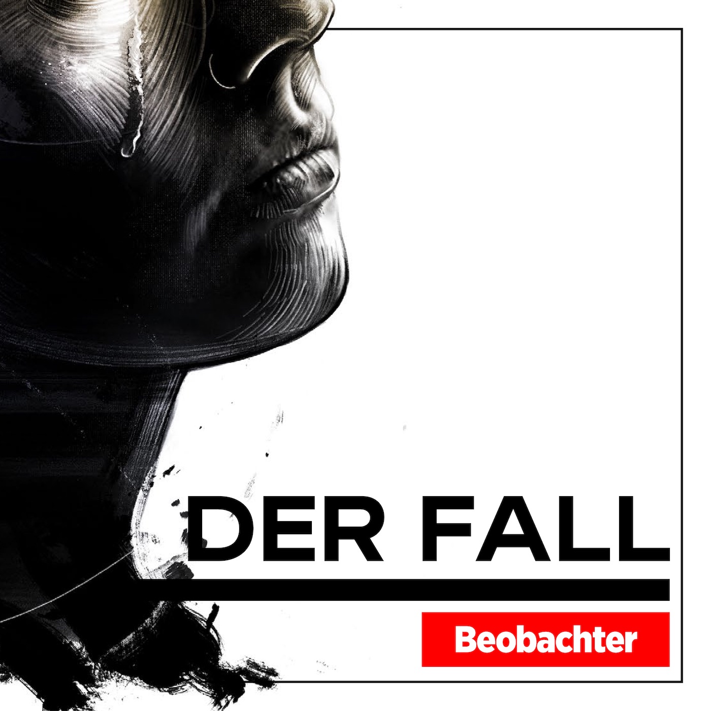 Der Fall 