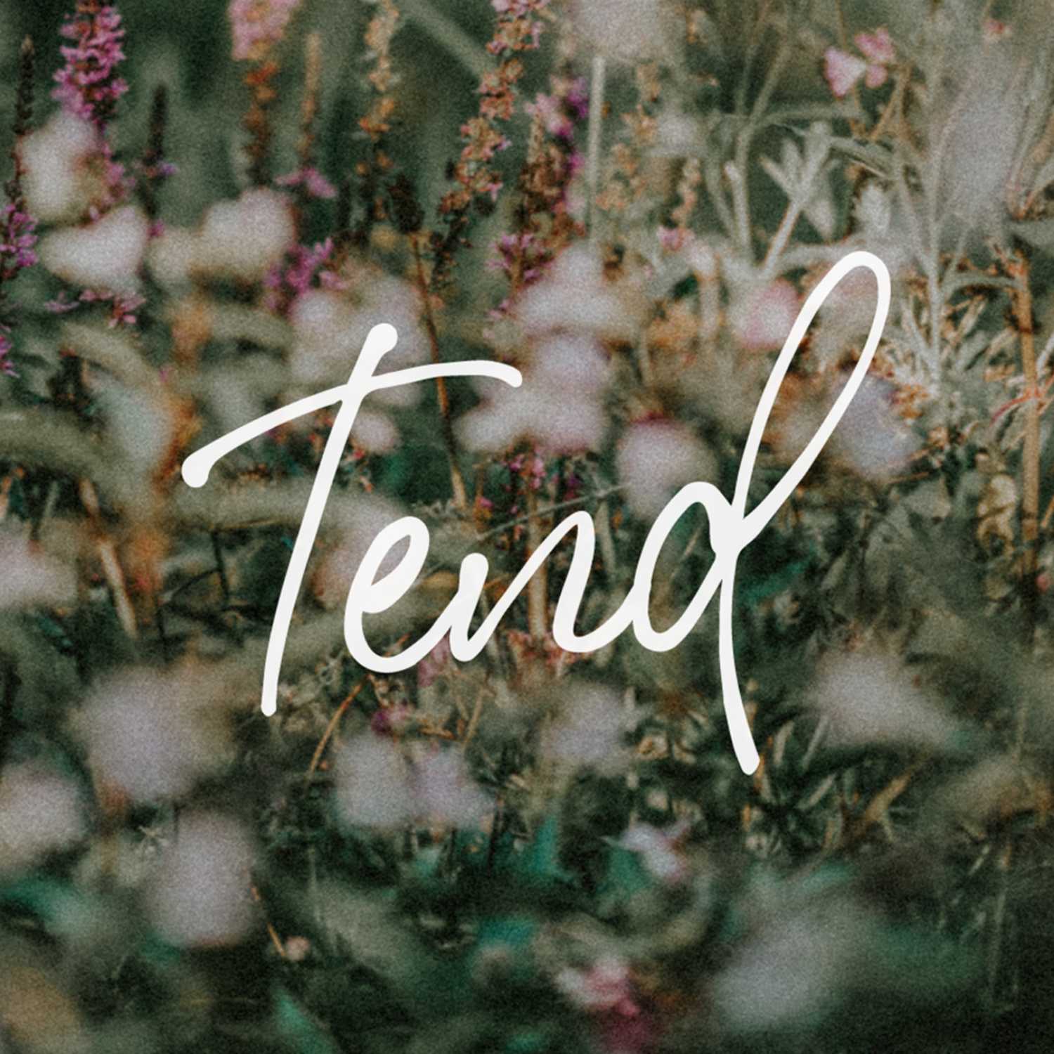 Tend: Love One Another (Adam Reed)