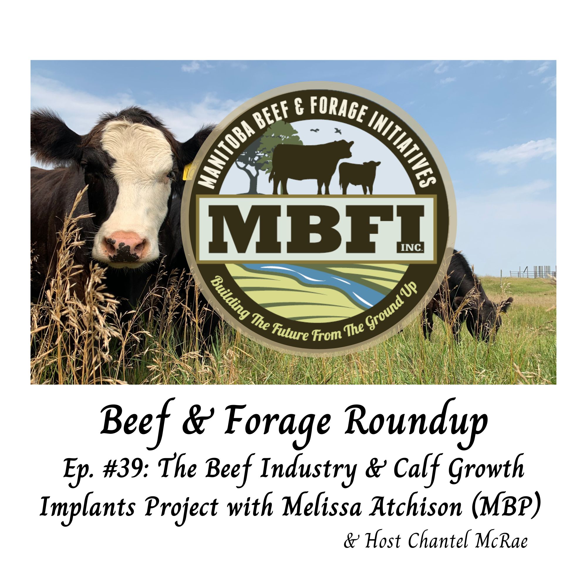 The Beef Industry & Calf Growth Implants Project with Melissa Atchison