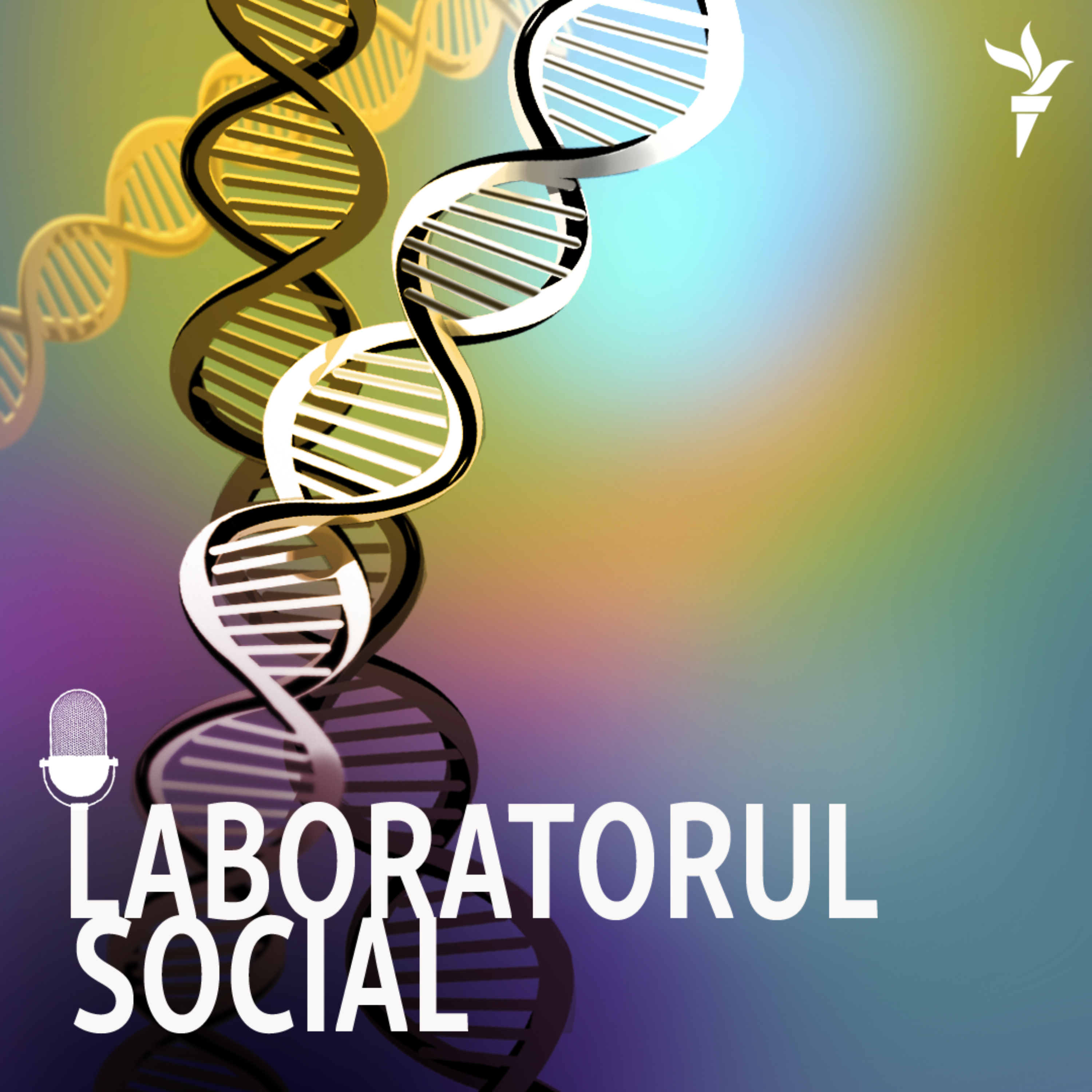 Laboratorul social 