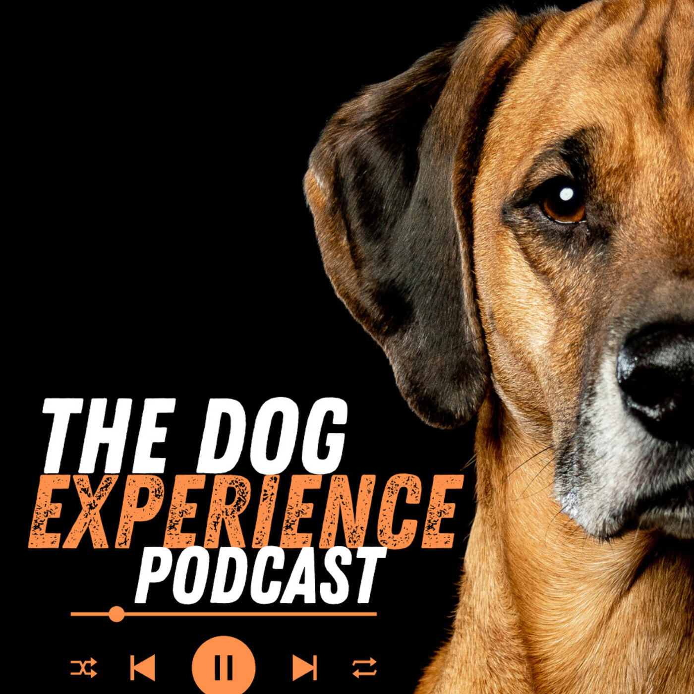 The Dog Experience Podcast 