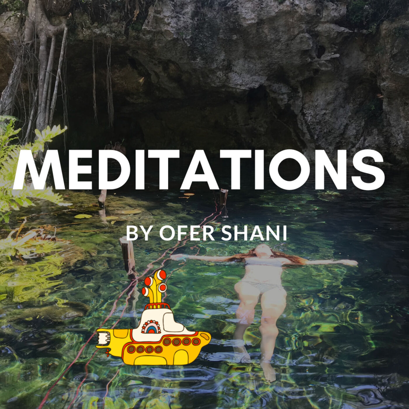 Meditations by Ofer Shani 