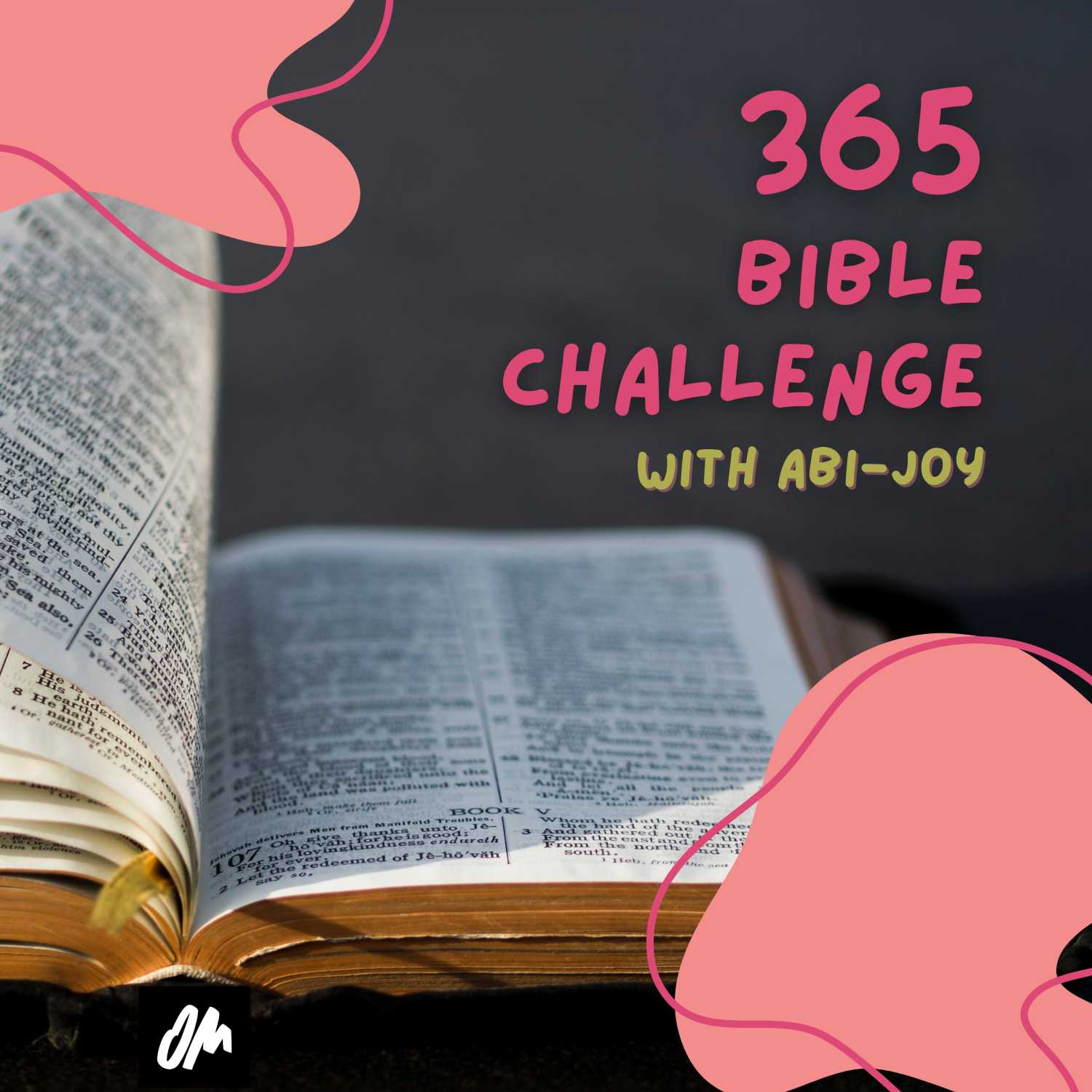 365 Bible Challenge 