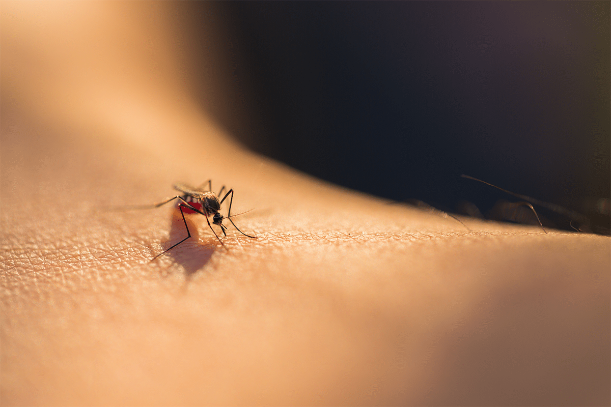 ⁣Why the Spread of Dengue Matters: Current Unmet Needs for Dengue Prevention