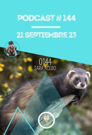 ⁣El silencio de los hurones