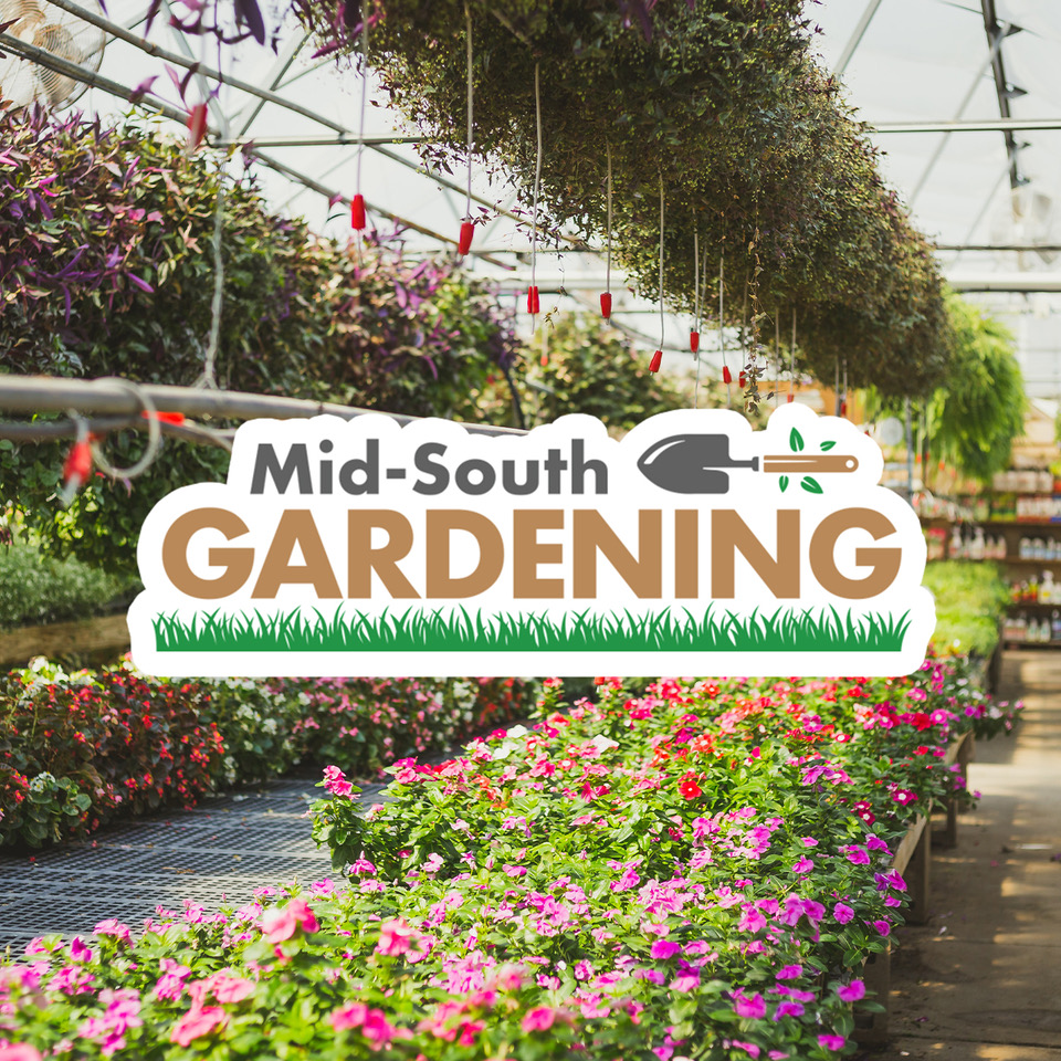 Mid-South Gardening Podcast 