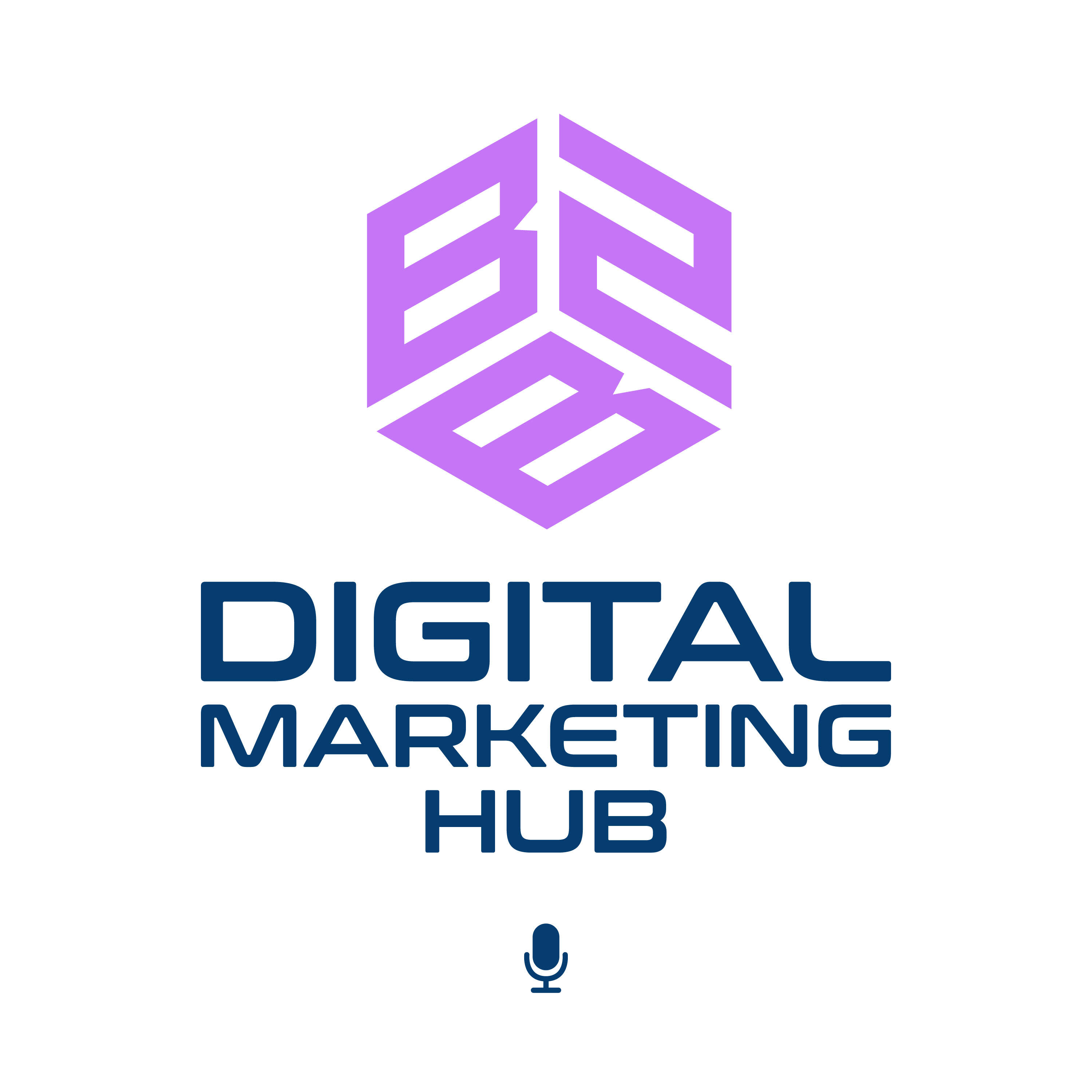 B2B Digital Marketing Hub 