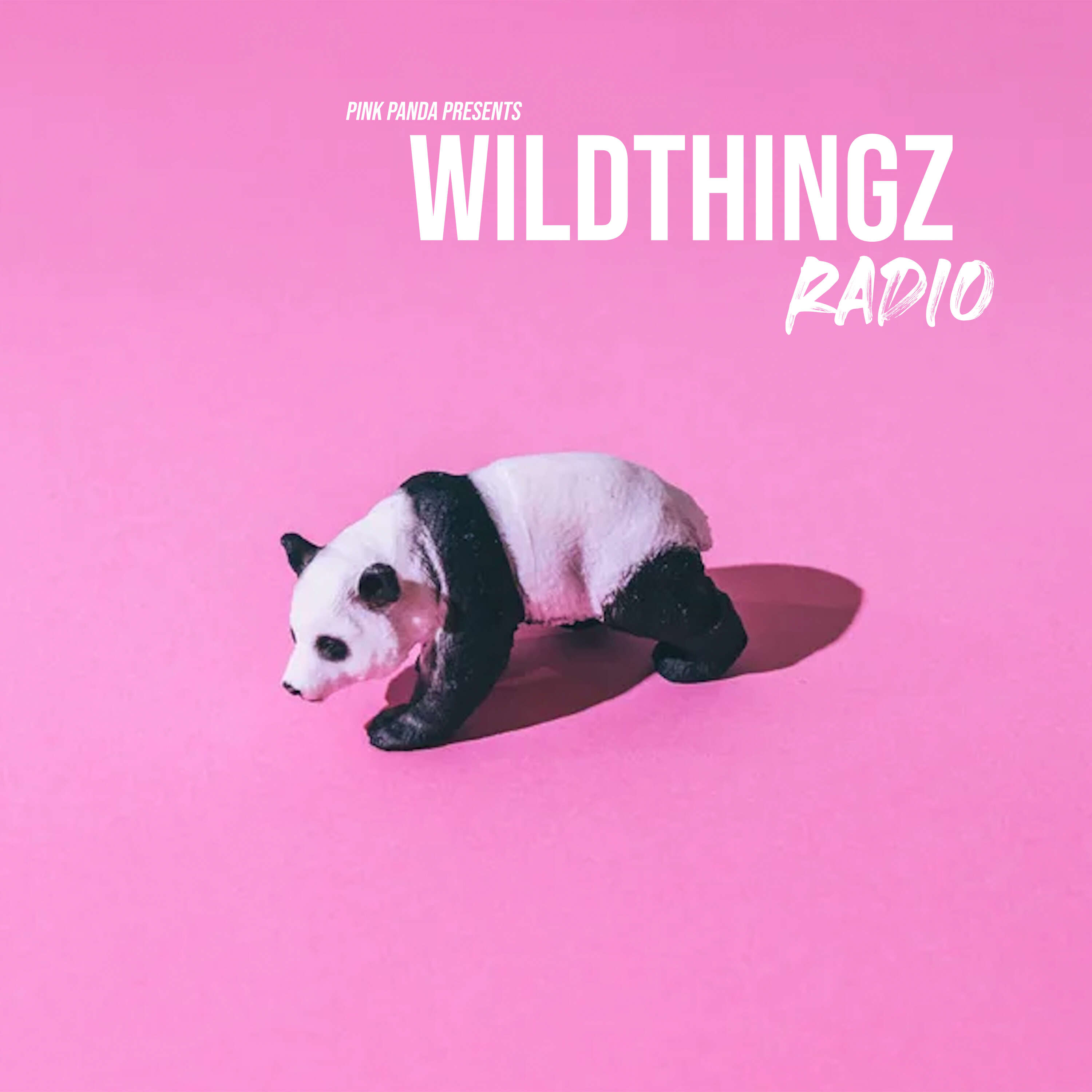 Pink Panda Presents Wild Thingz Radio 