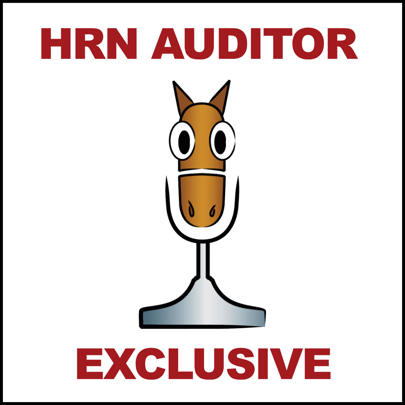 HRN Auditor Podcast 