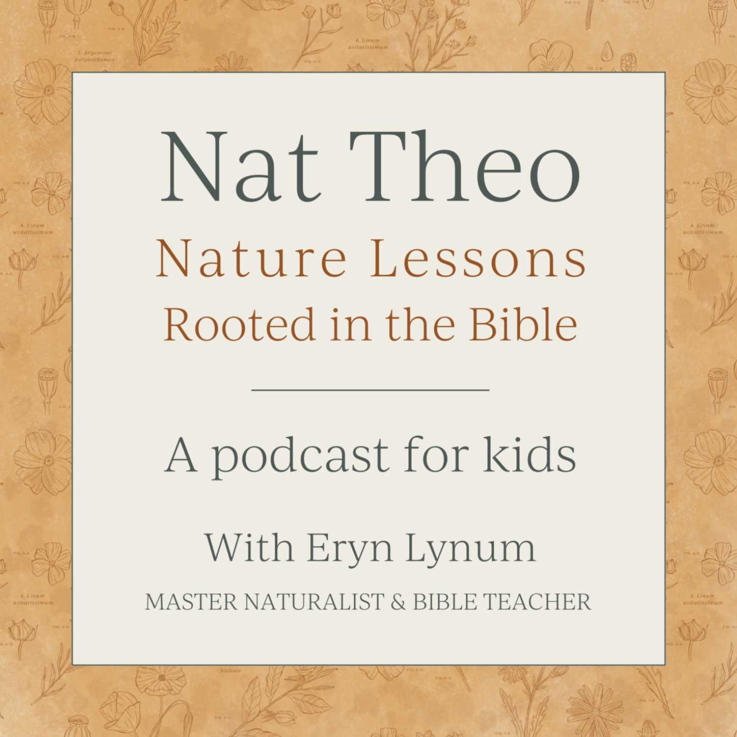 Nat Theo Nature Lessons Rooted in the Bible 