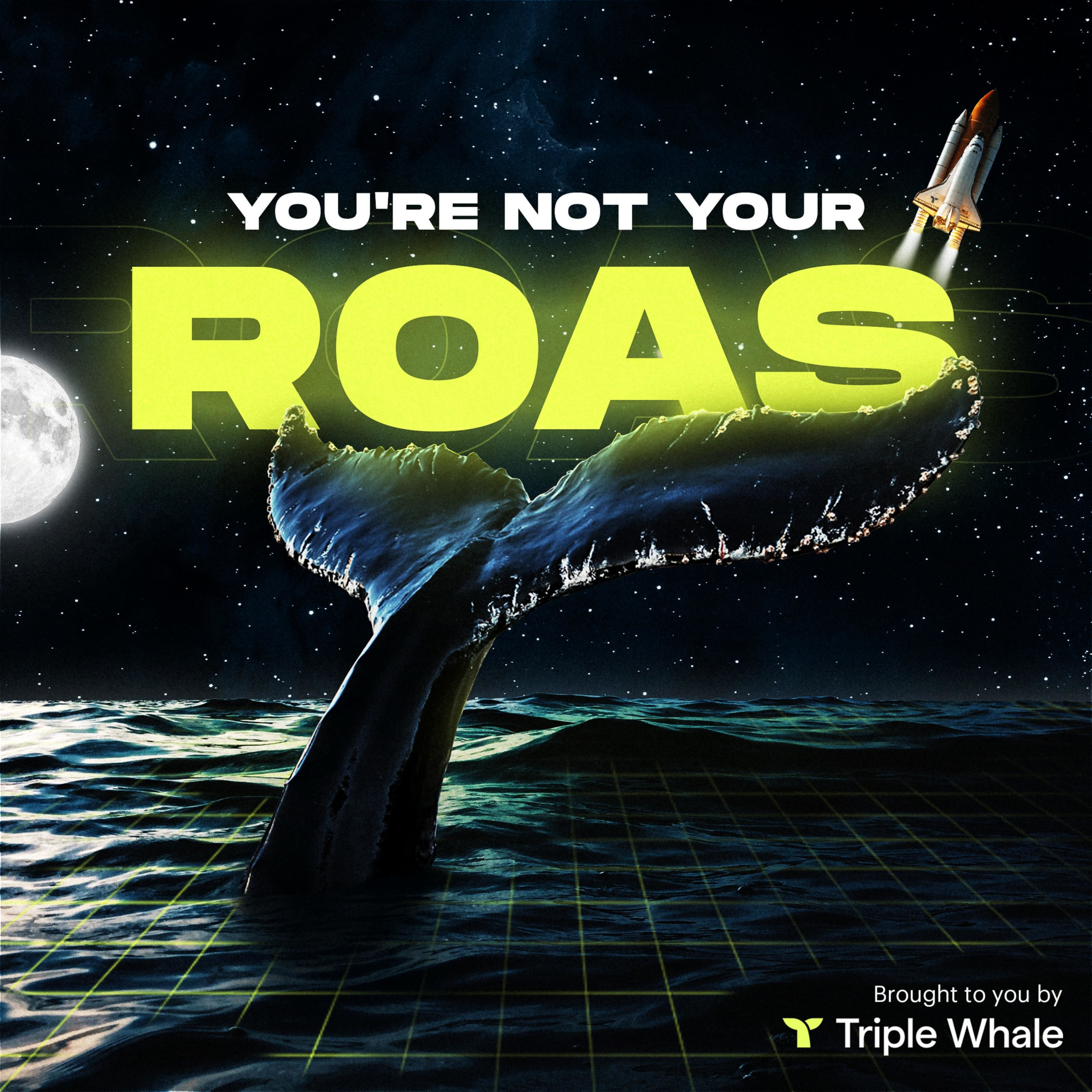 You're Not Your ROAS by Triple Whale 