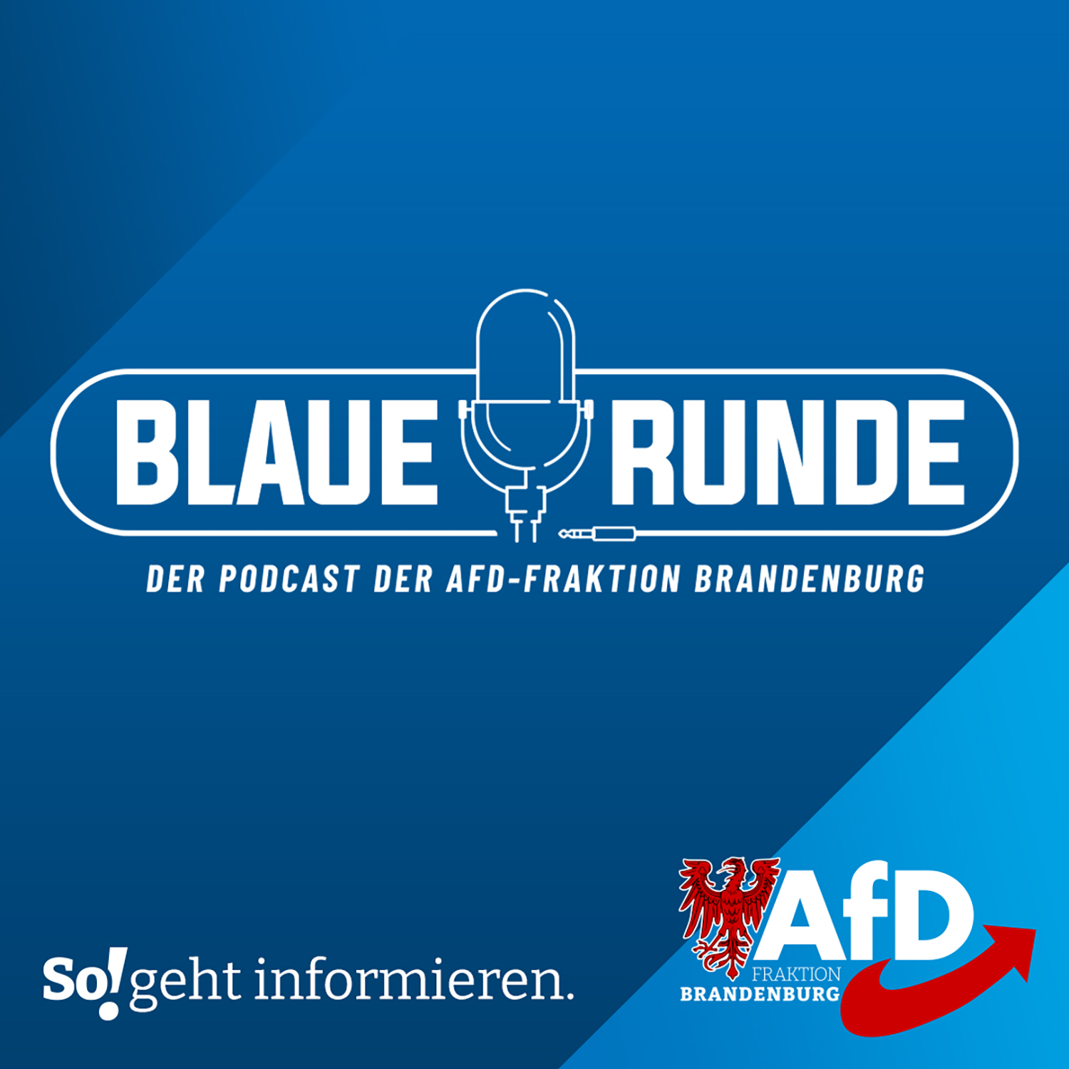 Die Blaue Runde - der Brandenburg Podcast der AfD-Fraktion 