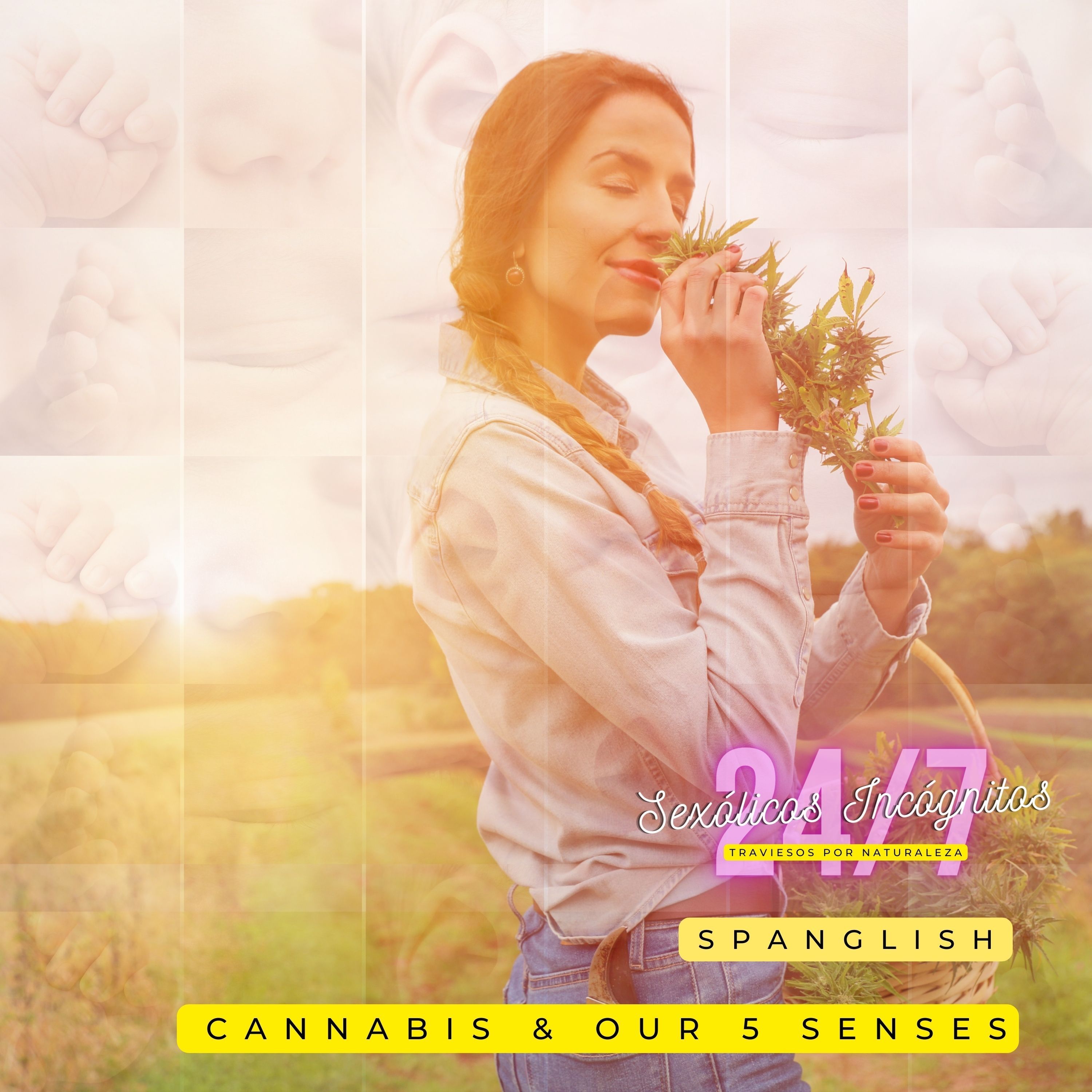 OUR 5 SENSES AND CANNABIS