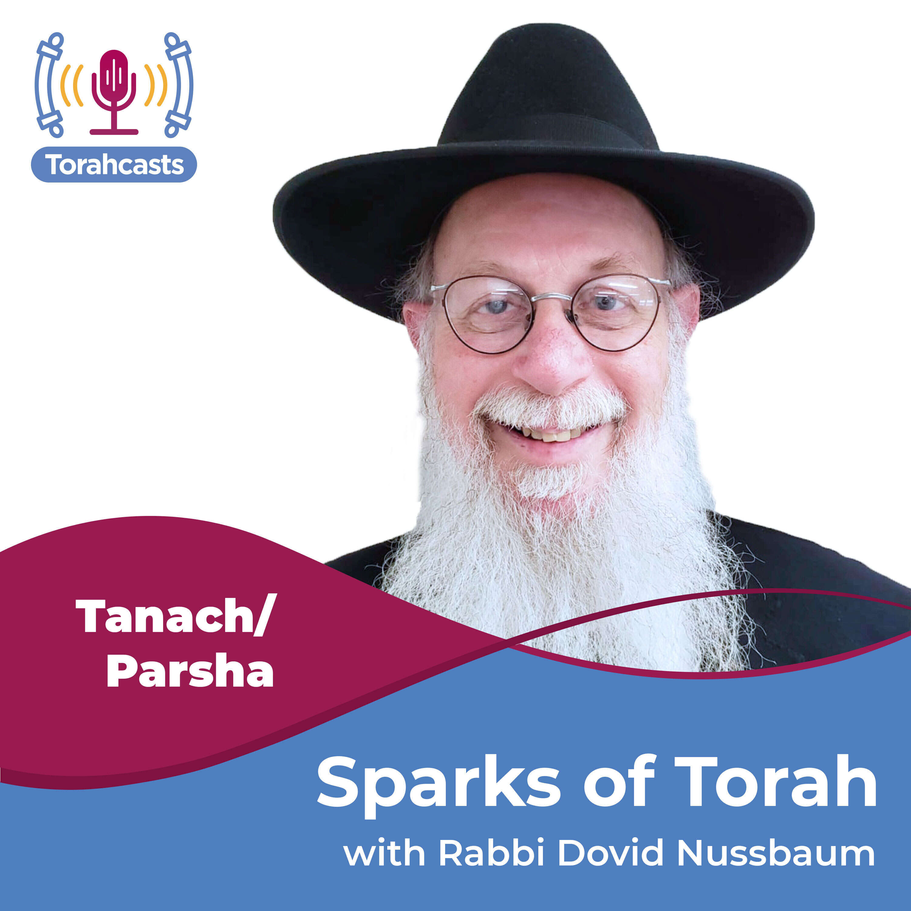 Sparks of Torah 