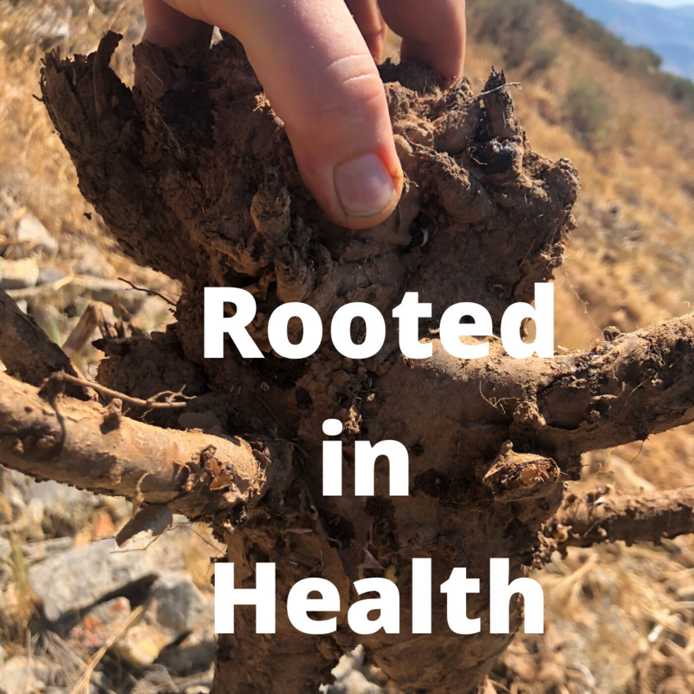 The Rooted in Health Podcast 