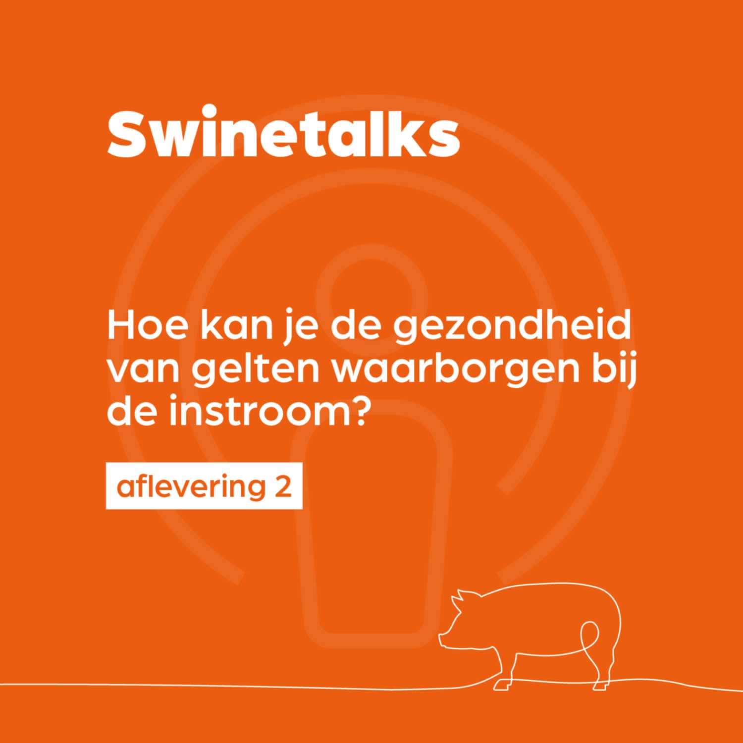 Swinetalks — 002 — Hoe kan je de gezondheid van gelten waarborgen bij de instroom?