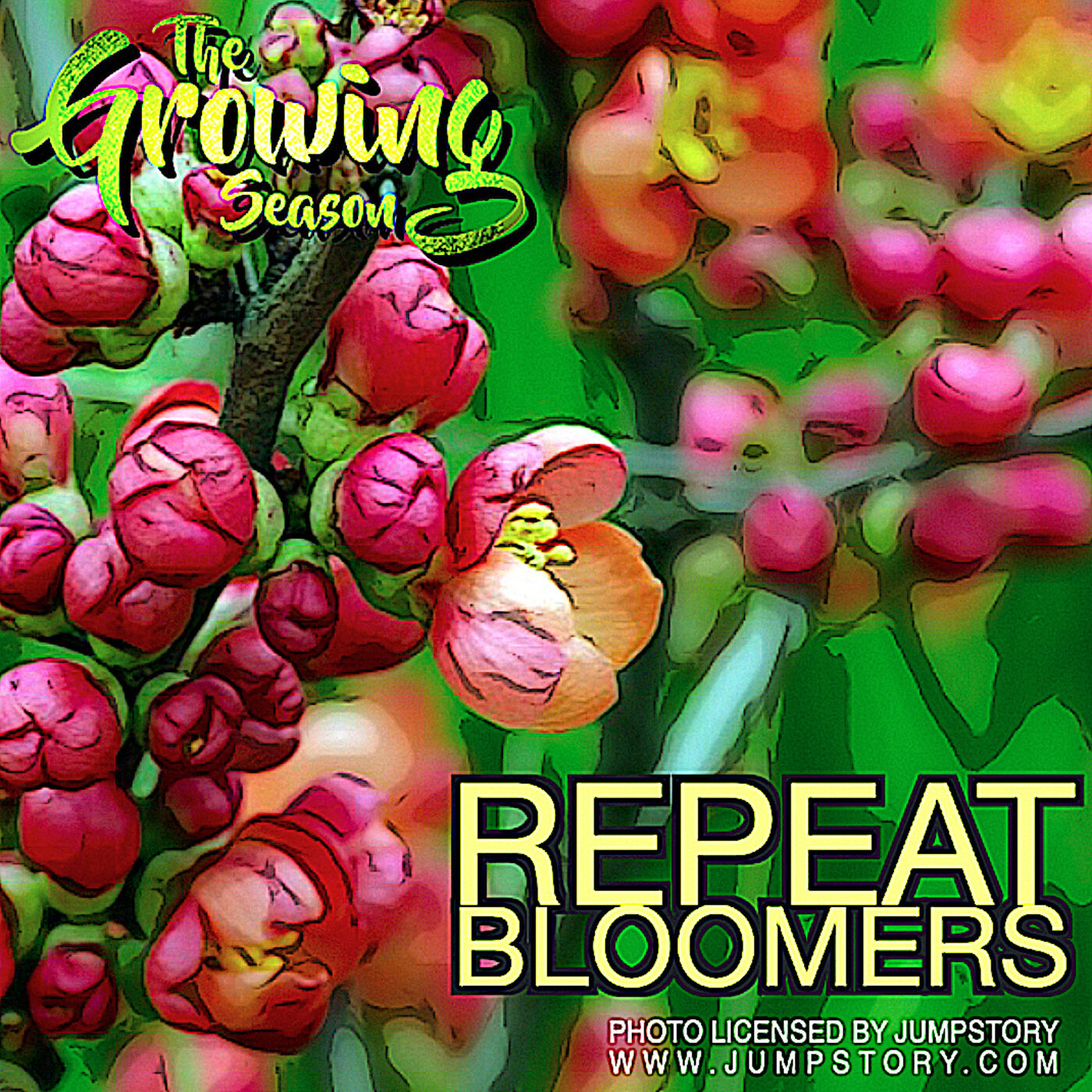 ⁣The Growing Season, Sept 9, 2023 - Repeat Bloomers