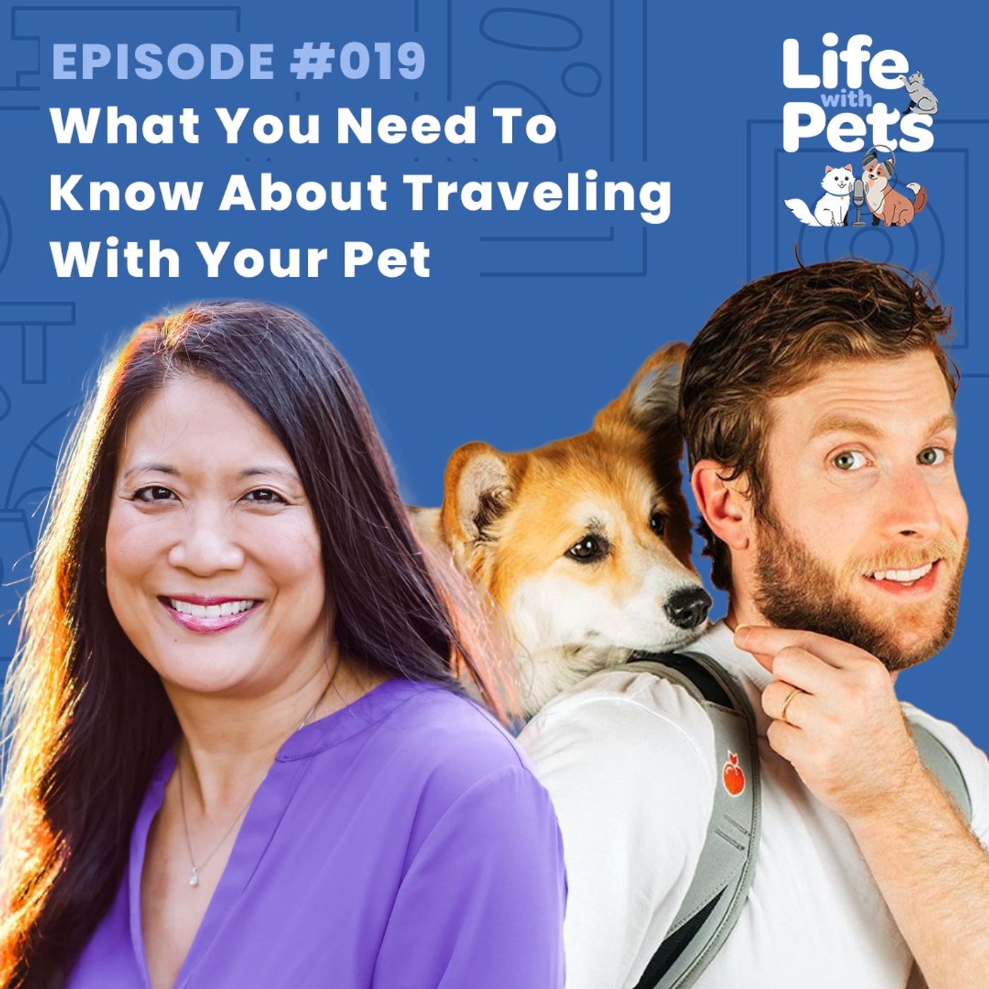 What You Need To Know About Traveling With Your Pet