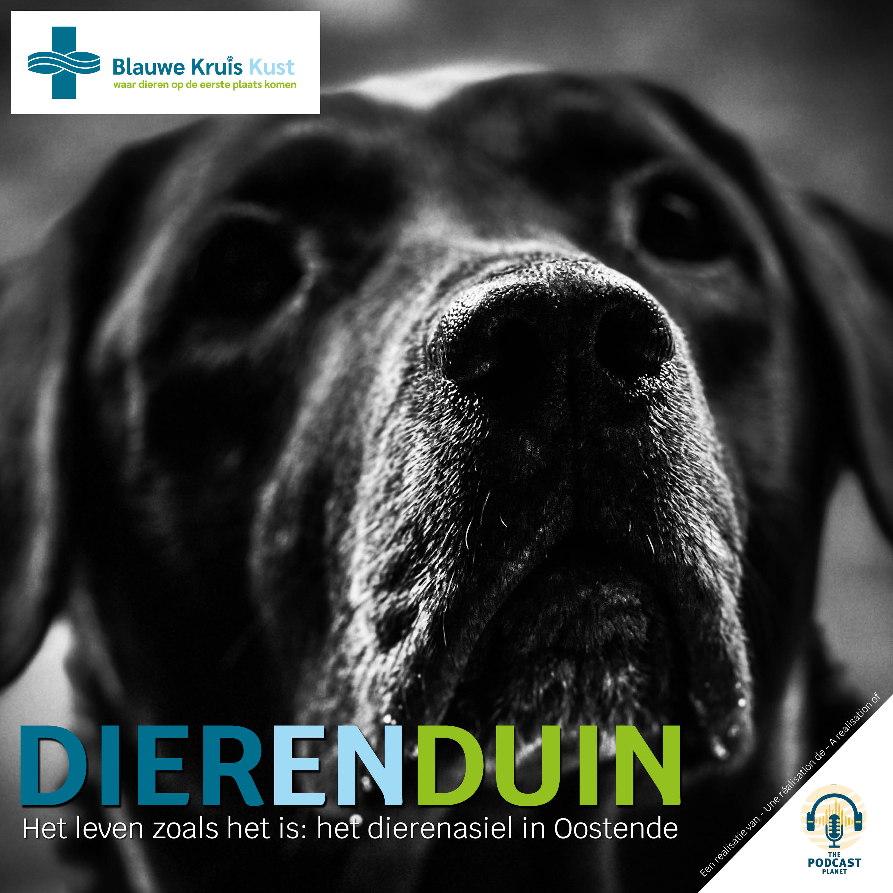 Dierenduin 