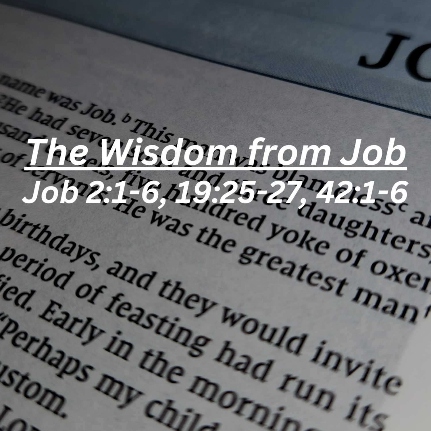 The Wisdom from Job