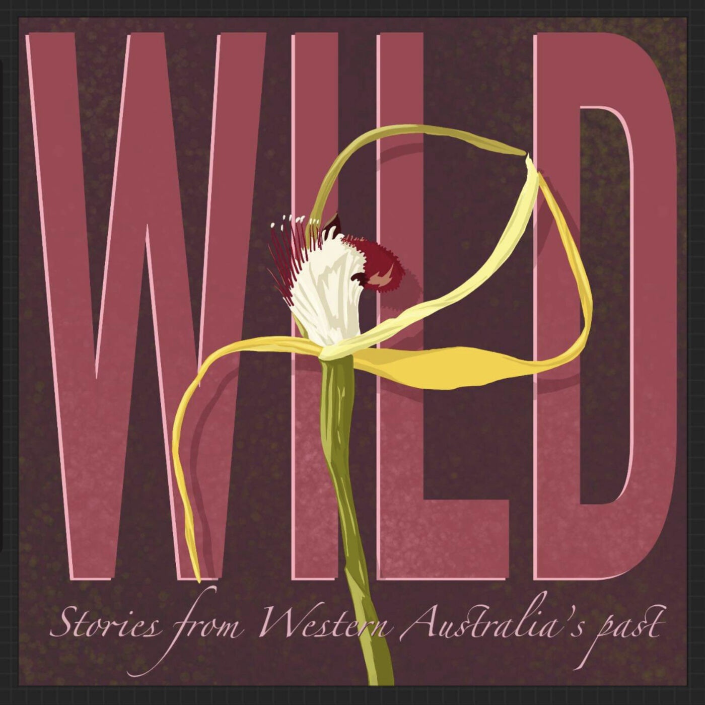 Wild: Stories from Western Australia's past 