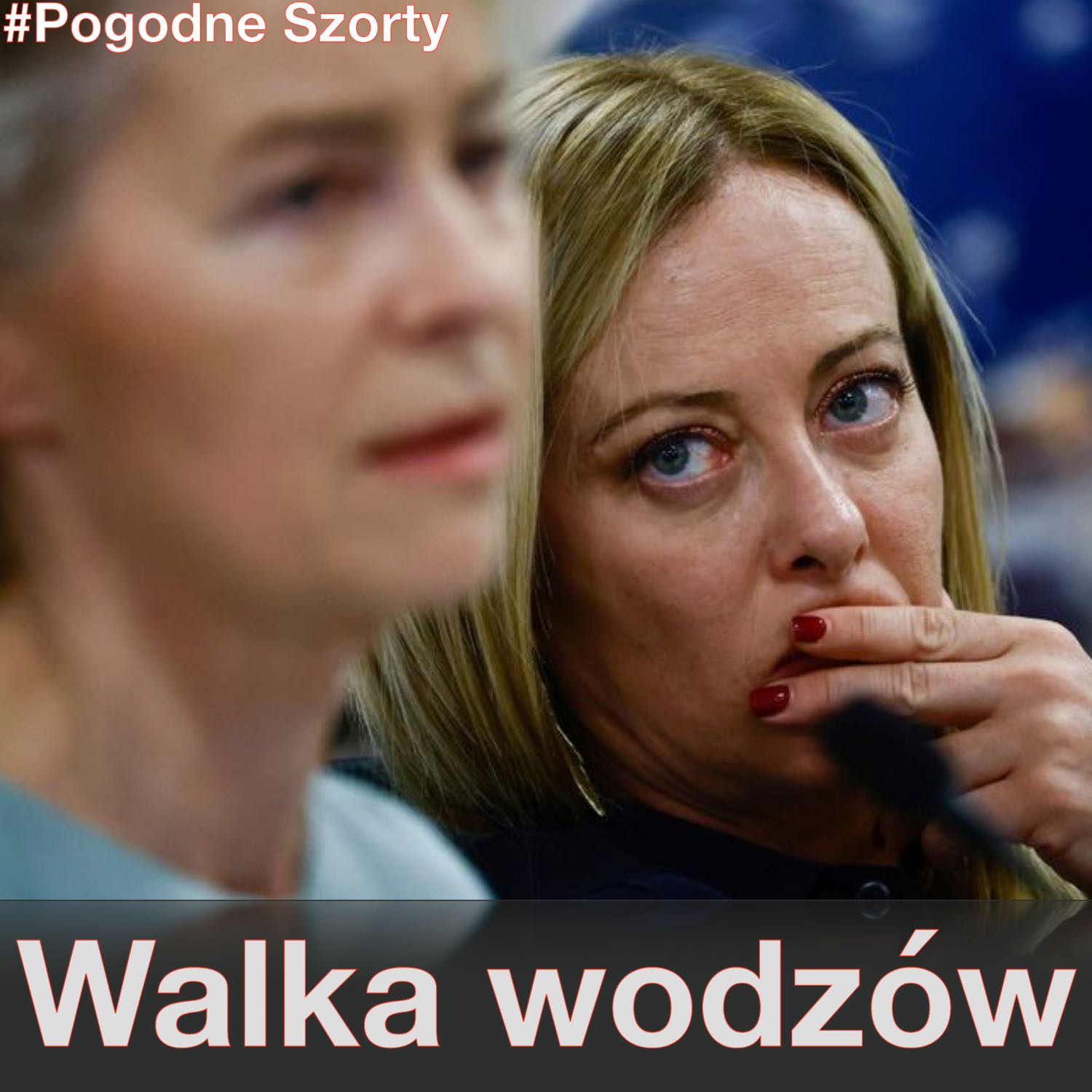 ⁣Migracja #6: Walka wodzów. Kto umożliwia proces migracji. | Pogodne Szorty #77