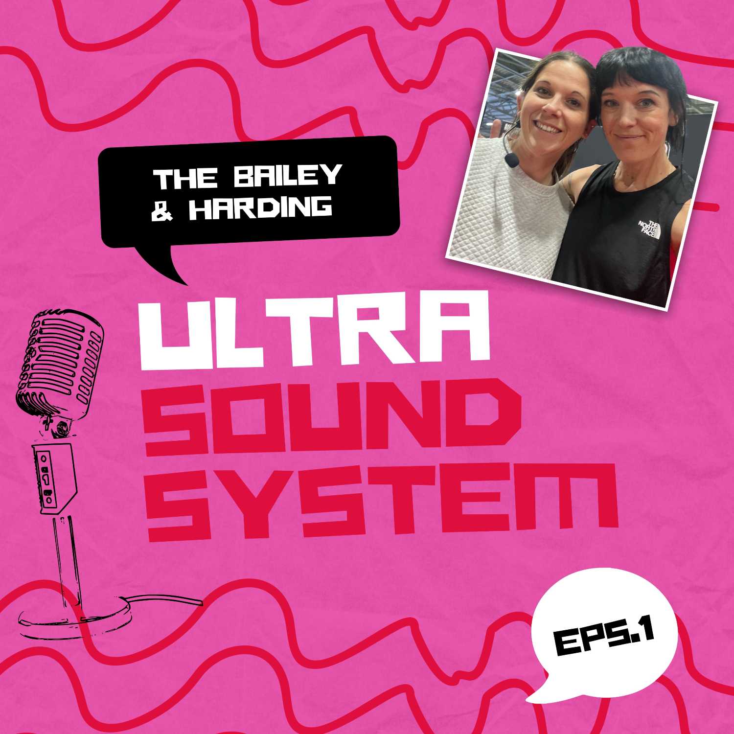 The Bailey And Harding Ultra Sound System 