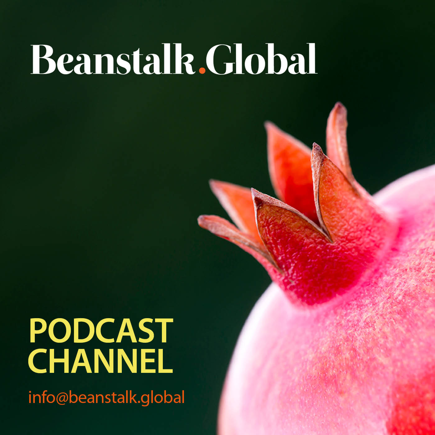 ⁣Beanstalk Global /AHDB Talking Leaders Series – Chemmy Alcott – Stepping into Your Next Chapter