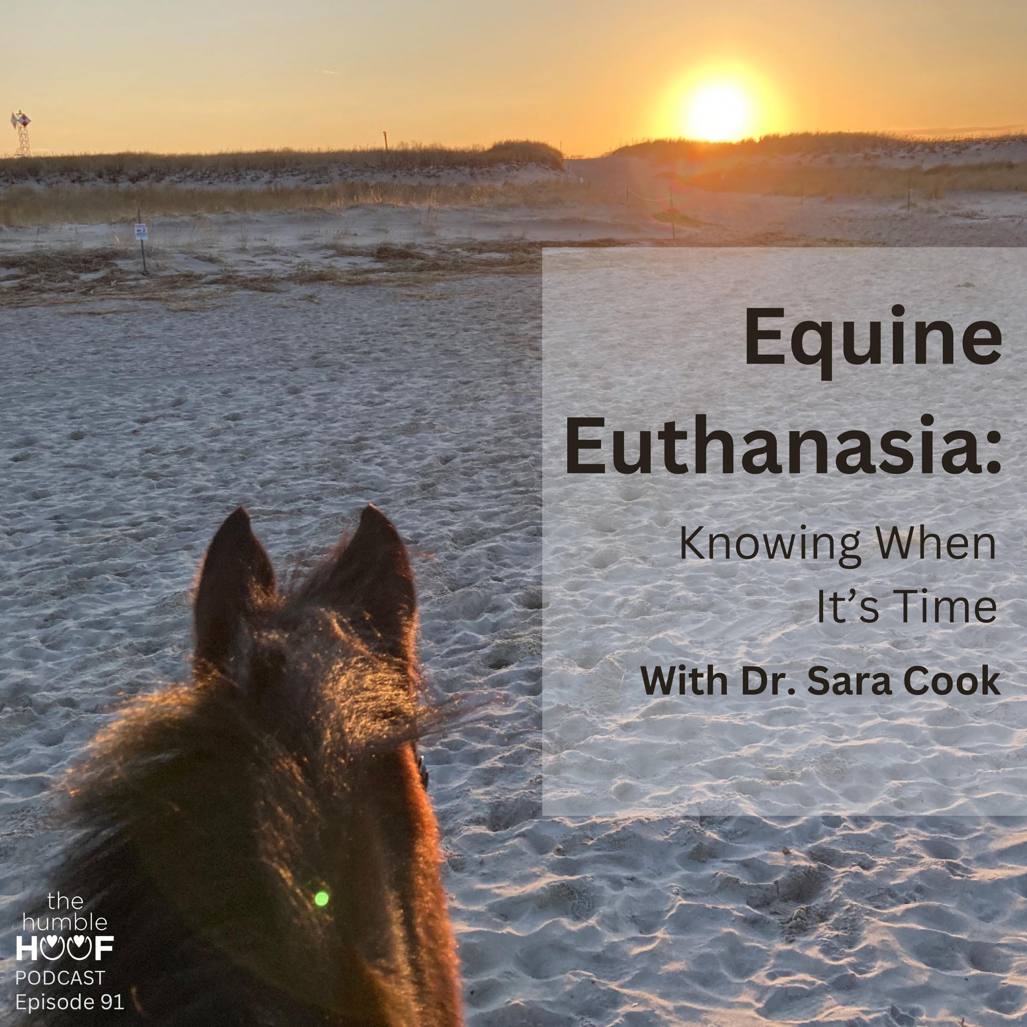 Equine Euthanasia: Knowing When It's Time with Dr. Sara Cook, Sponsored by Equithrive