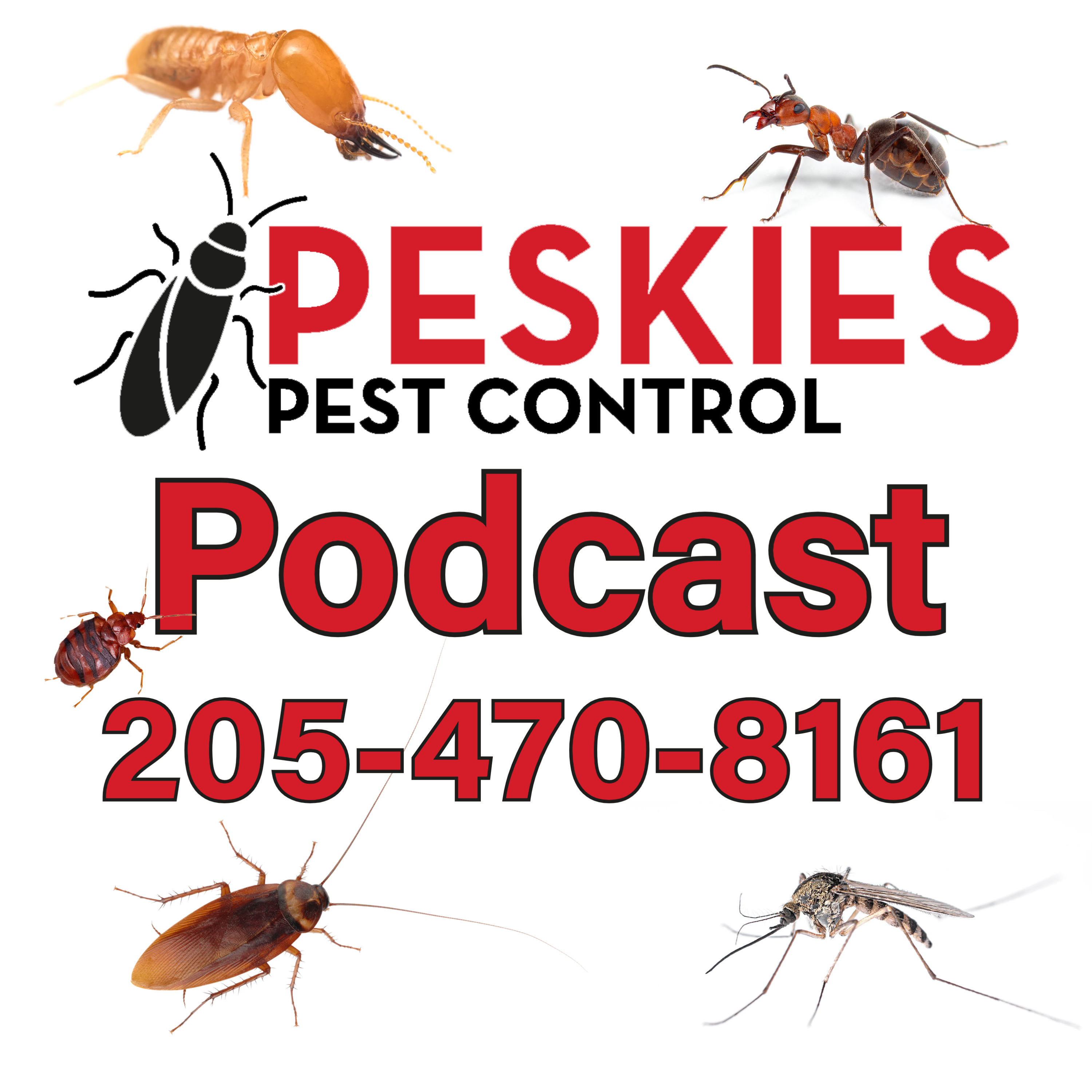 Peskies Pest Control Birmingham Alabama Podcast 