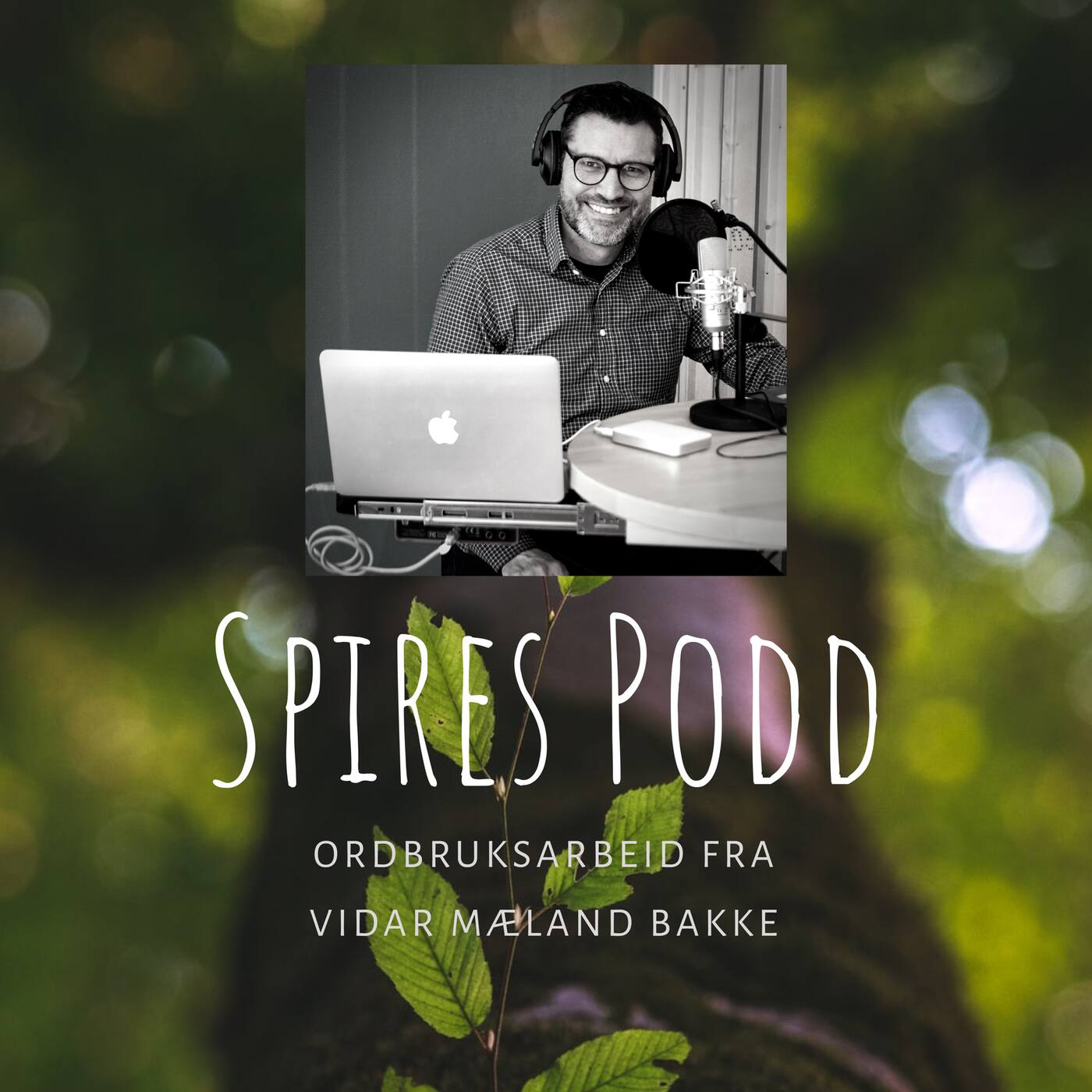 Spires Podd 