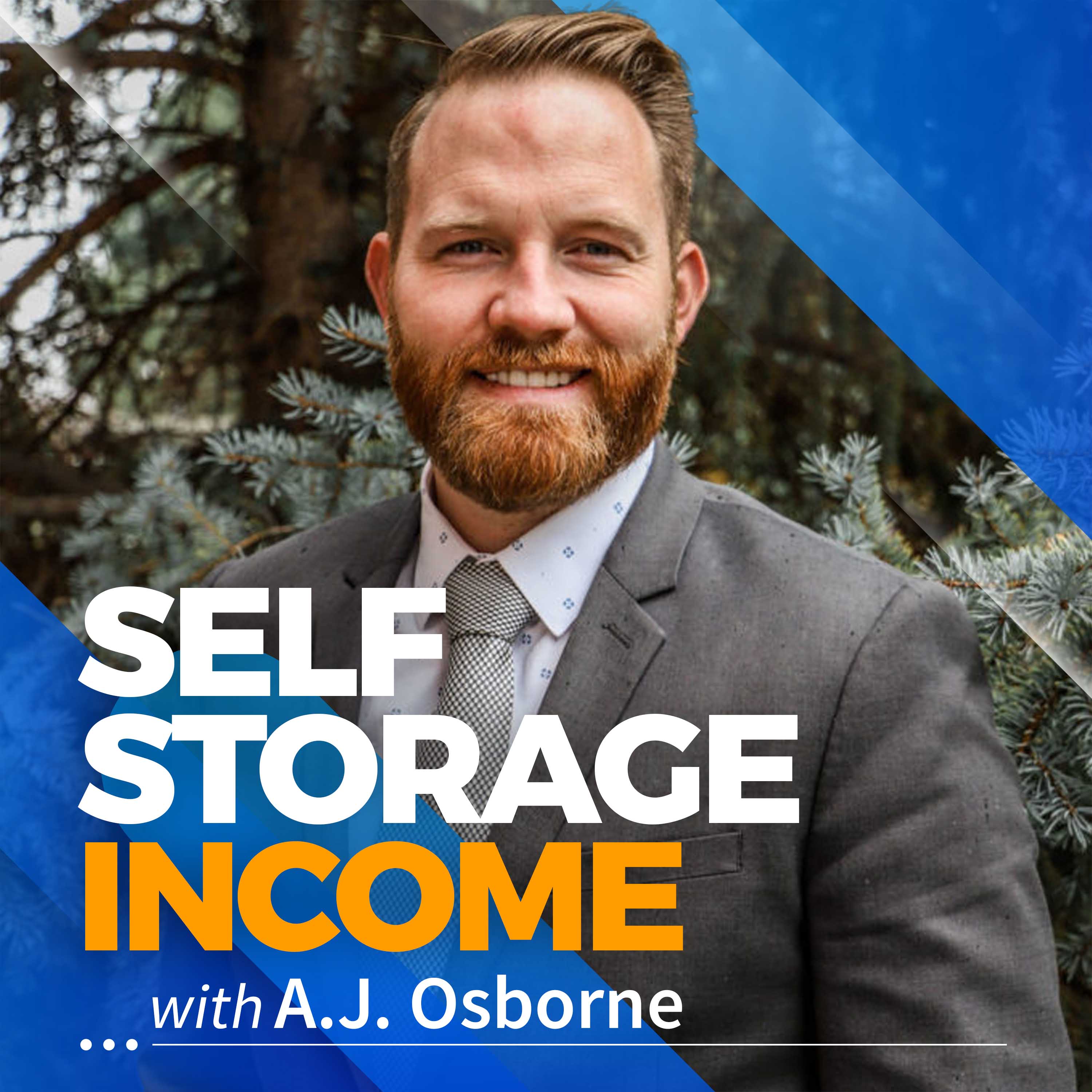 Self Storage Income 