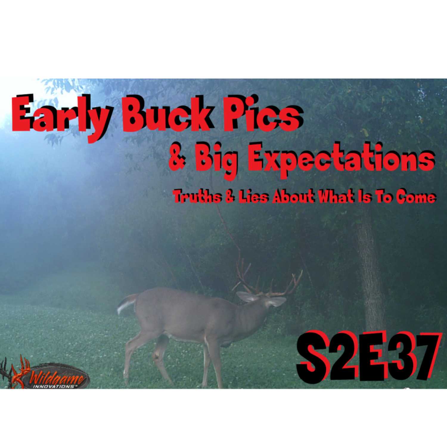 ⁣s2e37 Early buck pics and big expectations