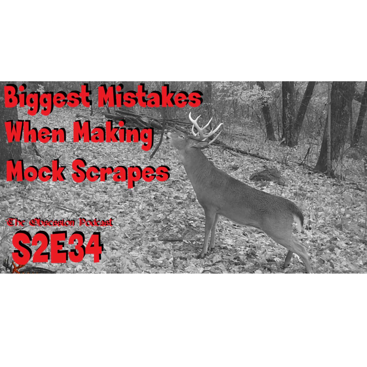 ⁣s2e35 the biggest mistakes made with mock scrapes movie