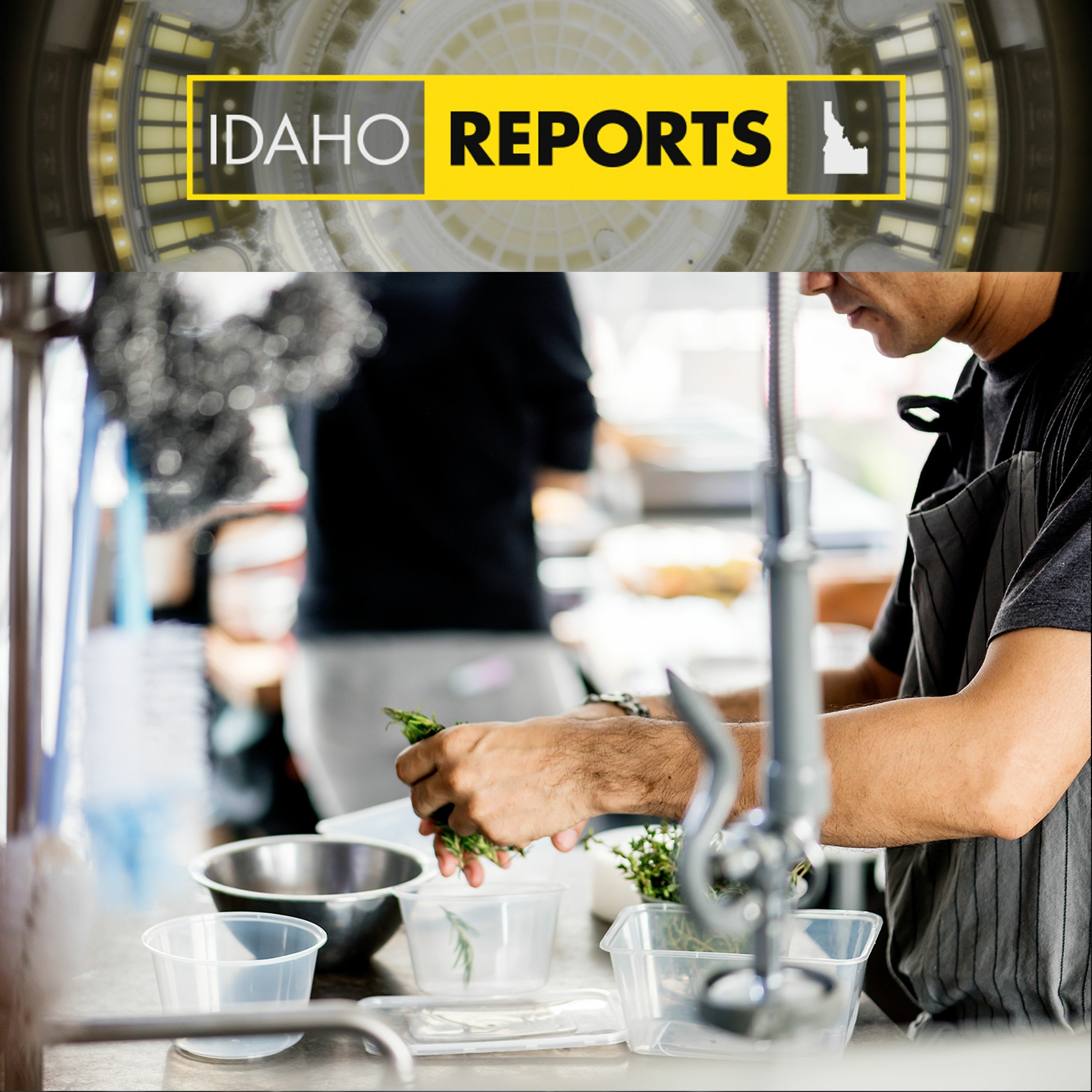 Episode: An Idaho Labor Market Snapshot