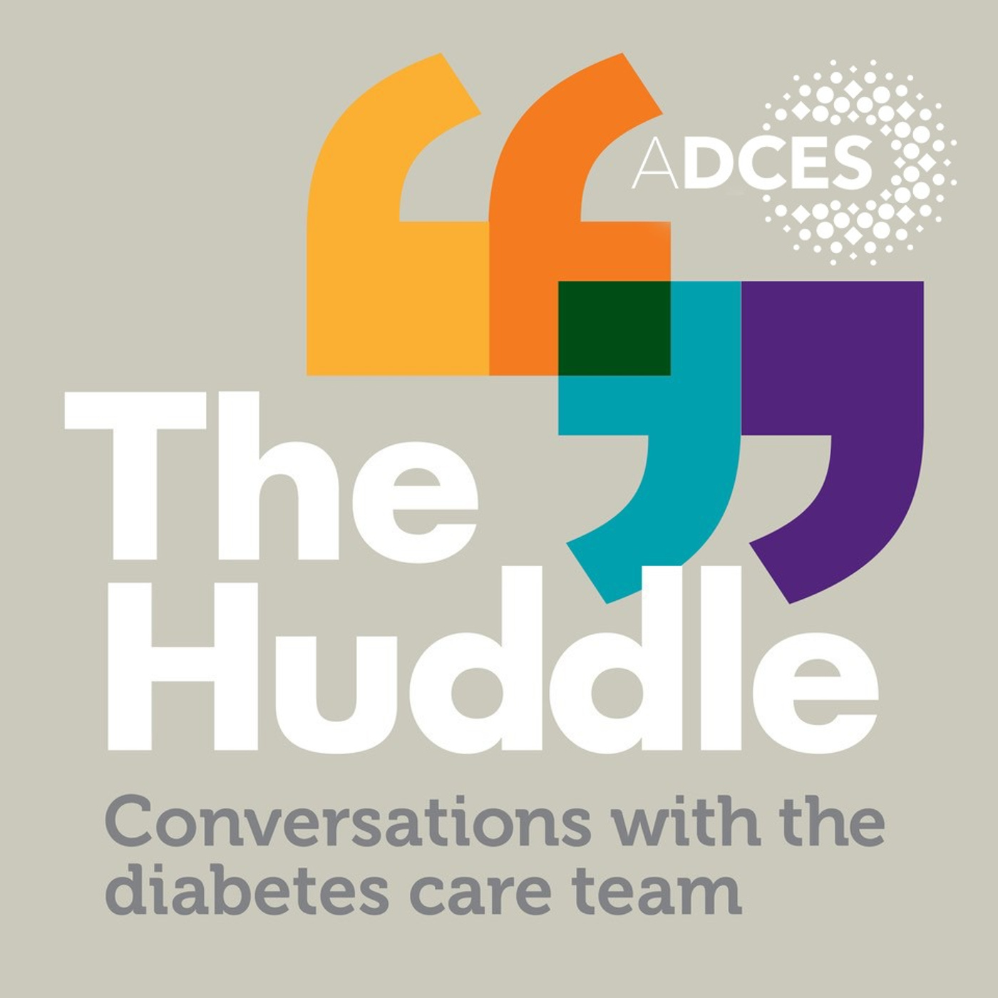 The Huddle: Conversations with the Diabetes Care Team 