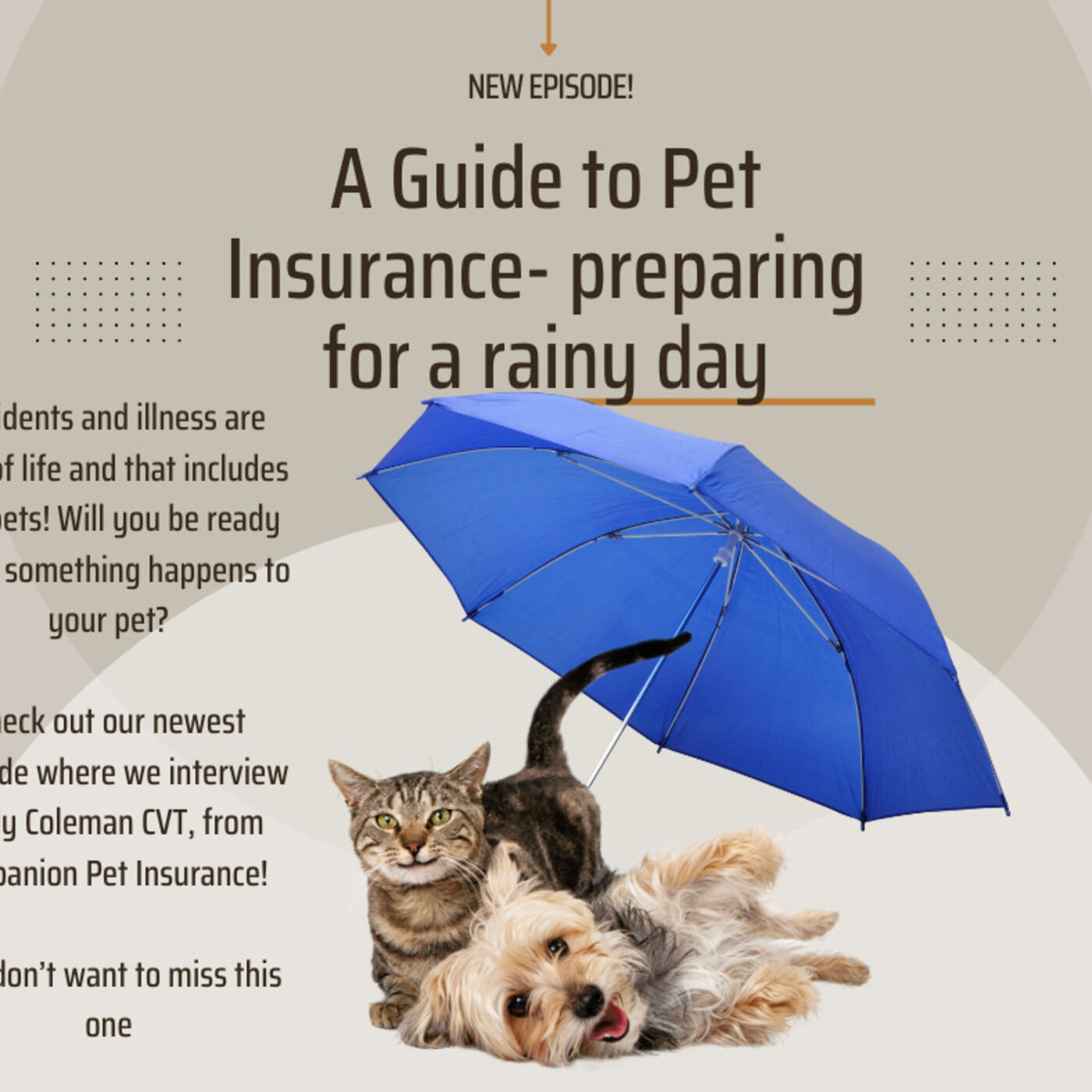 Pet Insurance- Preparing for a Rainy Day