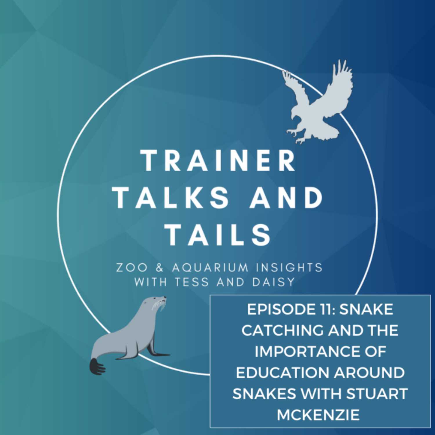 ⁣Episode 11: Snake Catching and the Importance of Education around Snakes with Stuart McKenzie