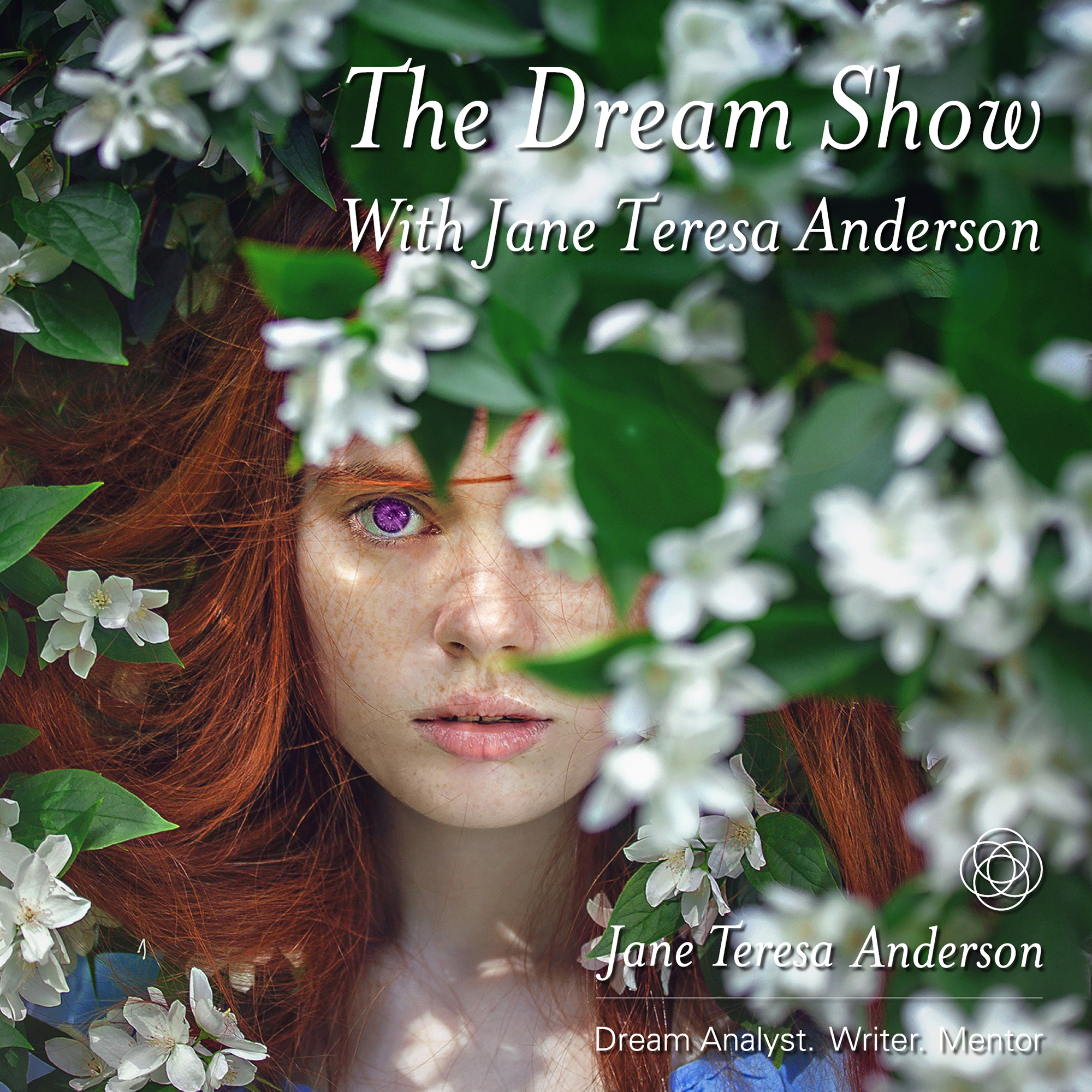 Podcasts Archives - In your dreams by Jane Teresa Anderson 