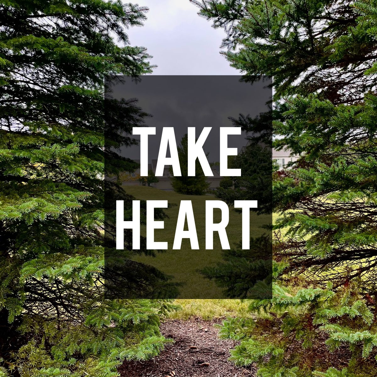 "Take Heart" - A Daily Meditation