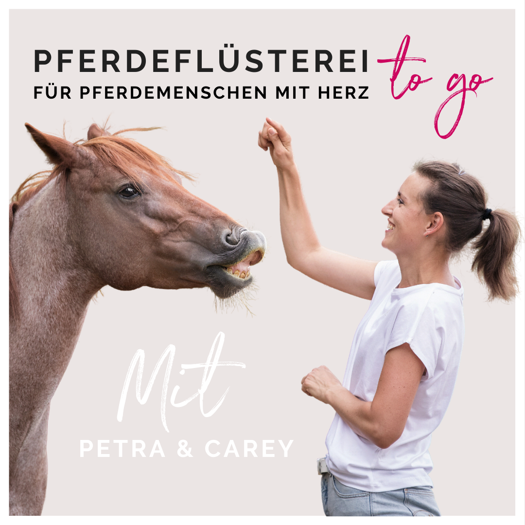 Pferdeflüsterei TO GO! Für Pferdemenschen mit Herz 