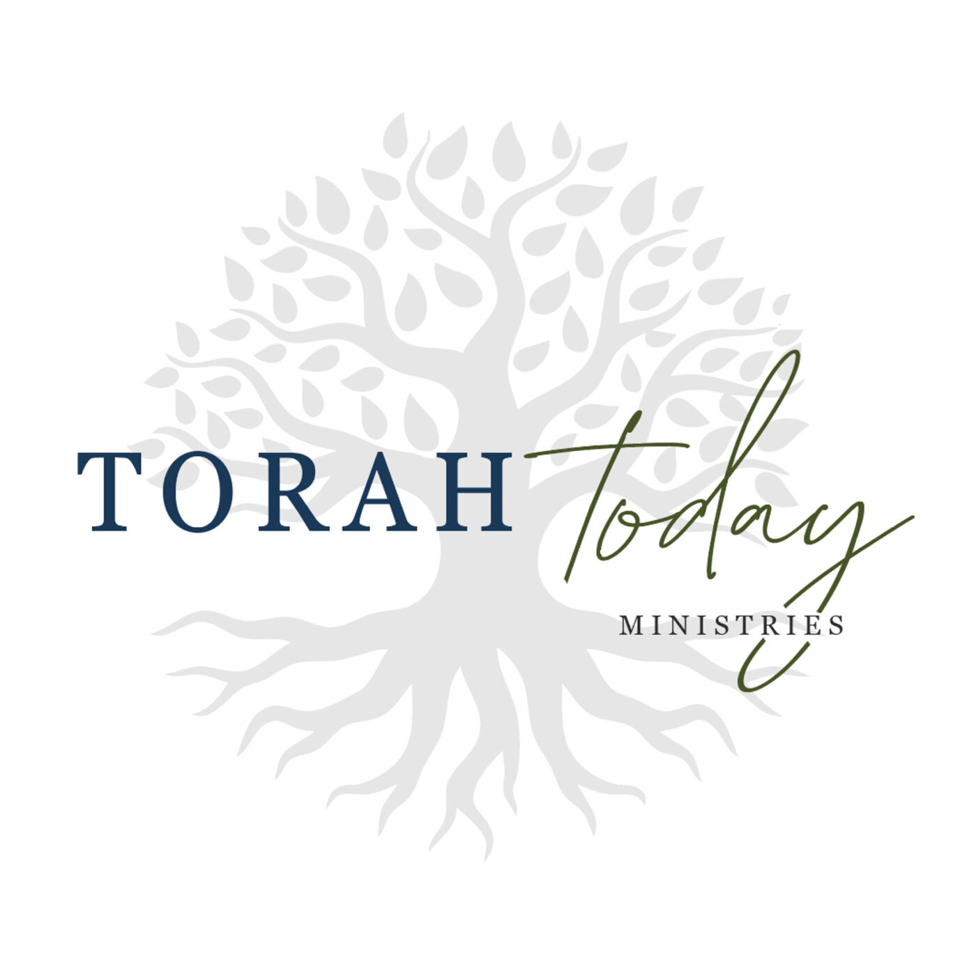 Torah Today Ministries 