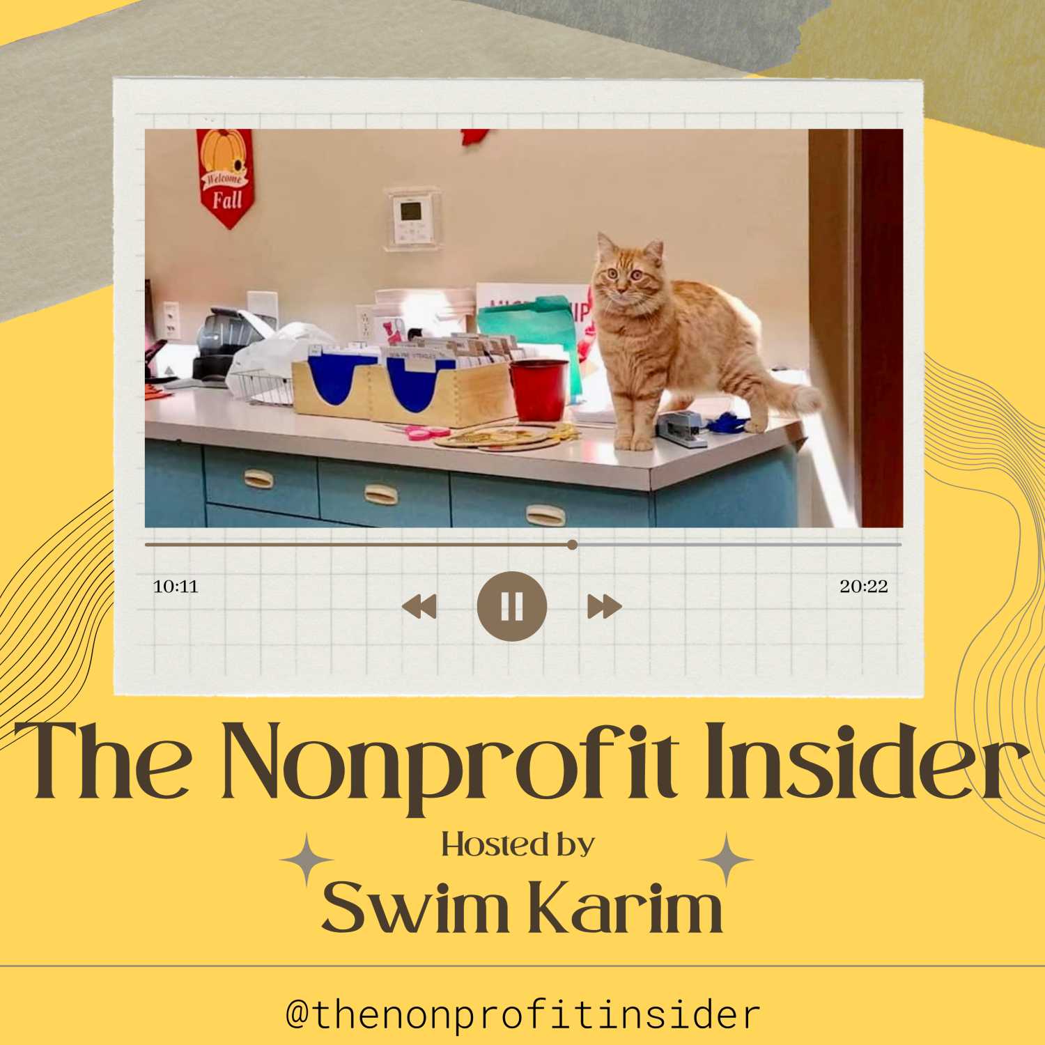 The Nonprofit Insider 