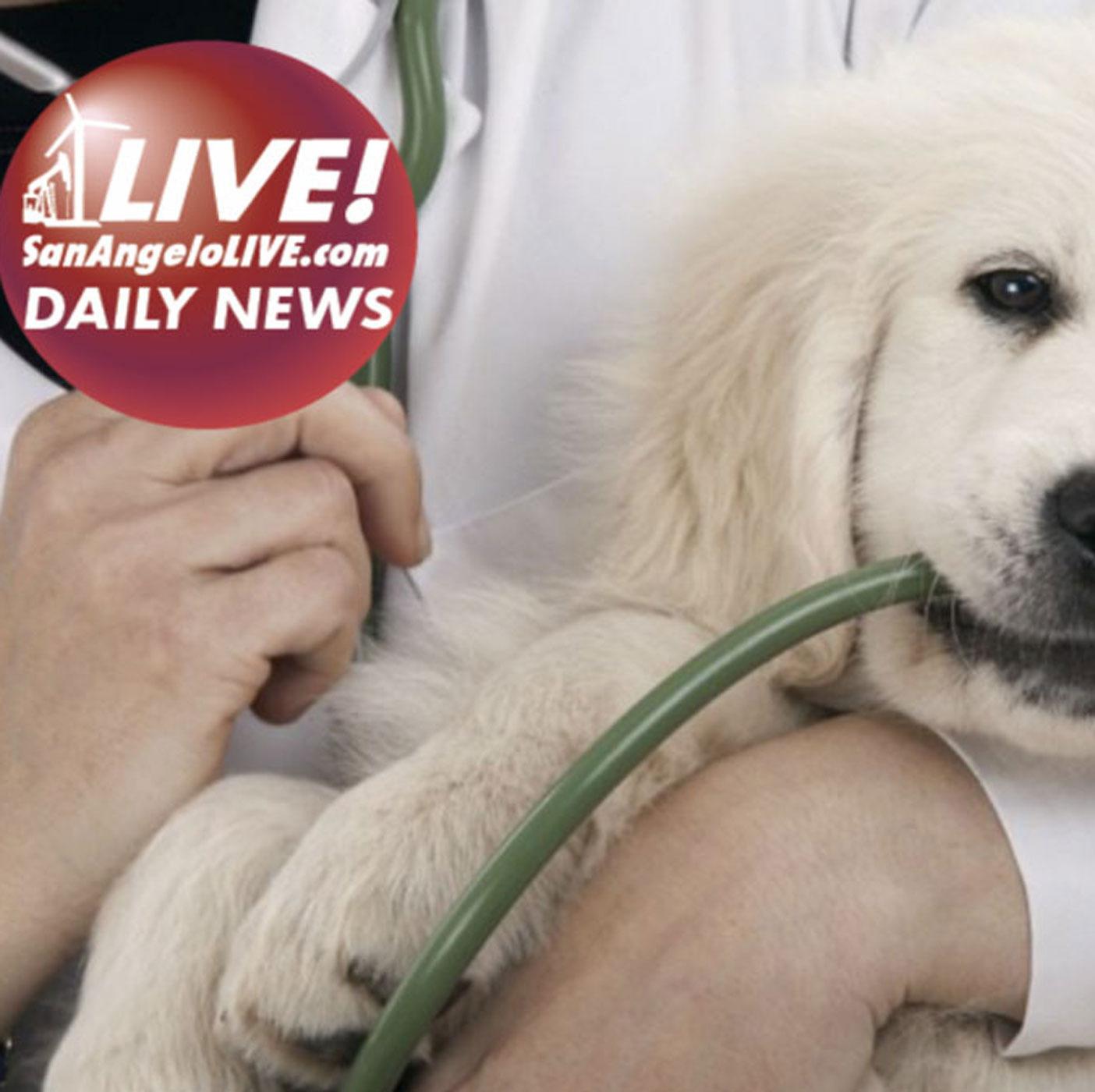 Animal Hospital No Longer 24/7
