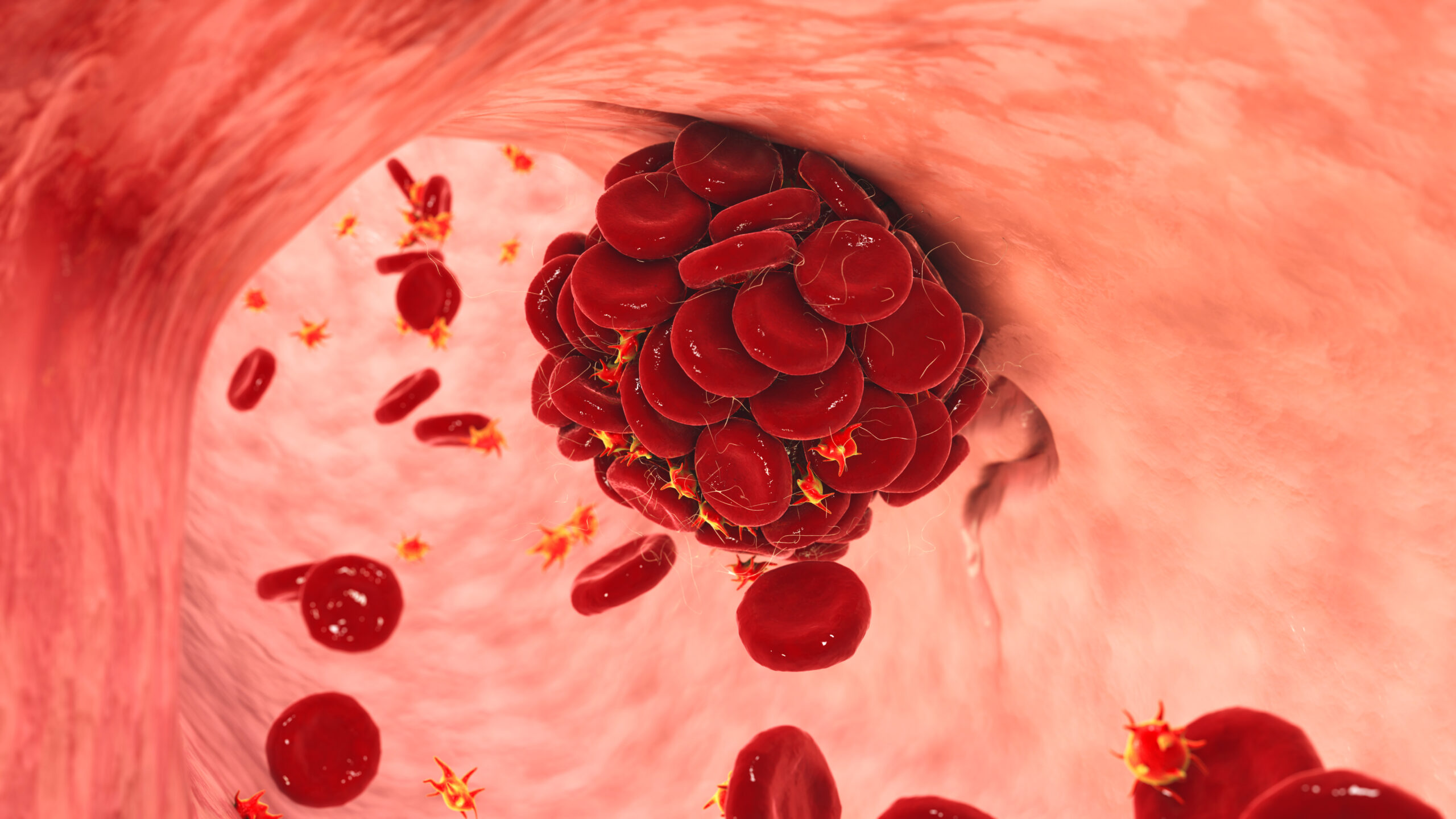 The Engineering Prowess of the Blood Clotting Cascade