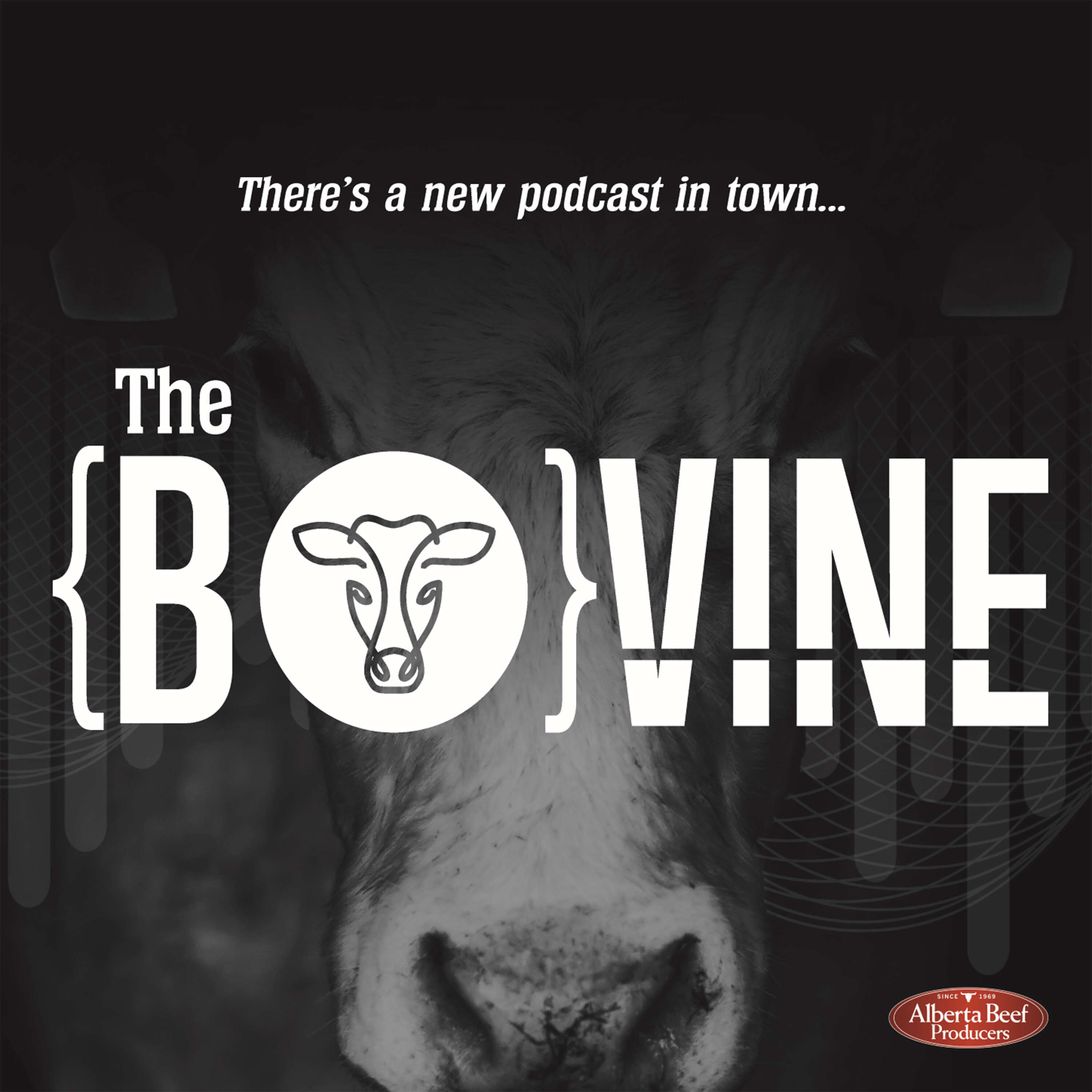 The Bovine 