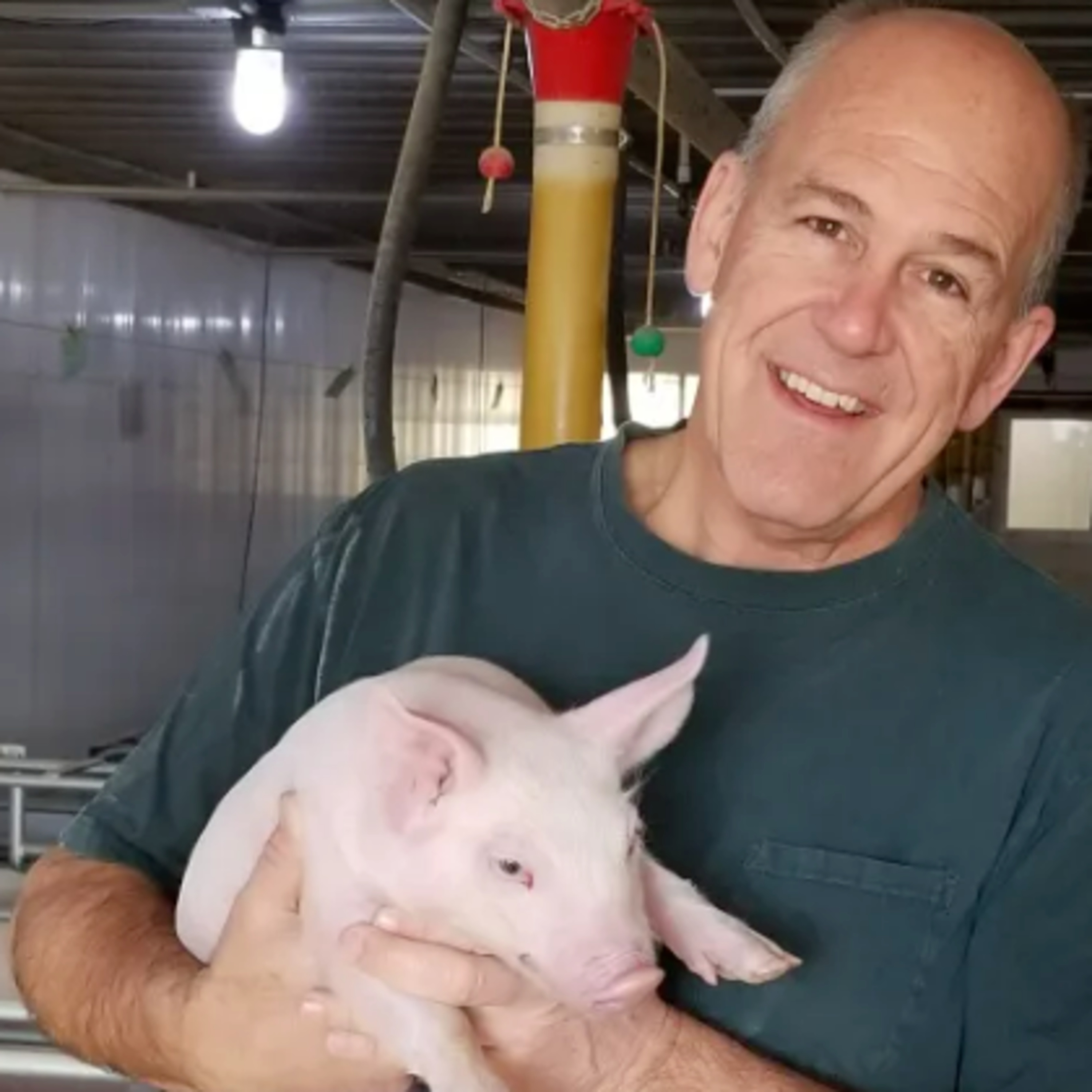 ⁣Special Prop 12 Report with Brent Hershey from Hershey Ag