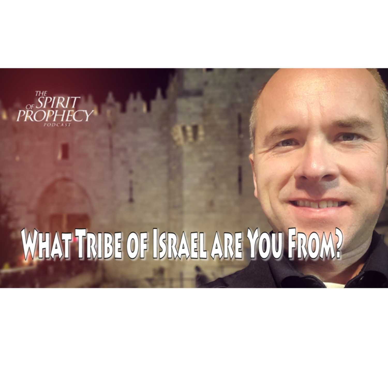 ⁣What Tribe of Israel Are You From?