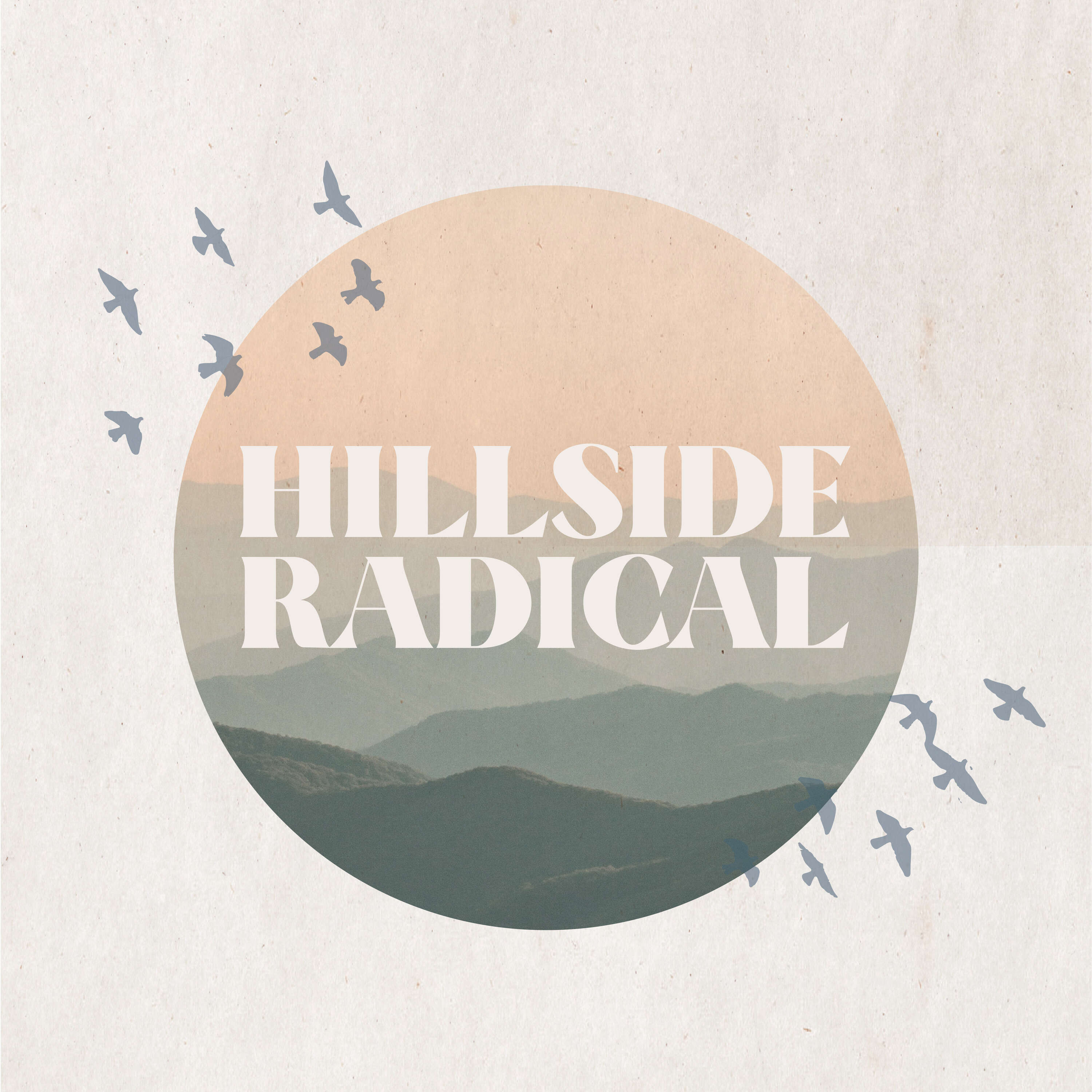 ⁣Hillside Radical: True Discipleship