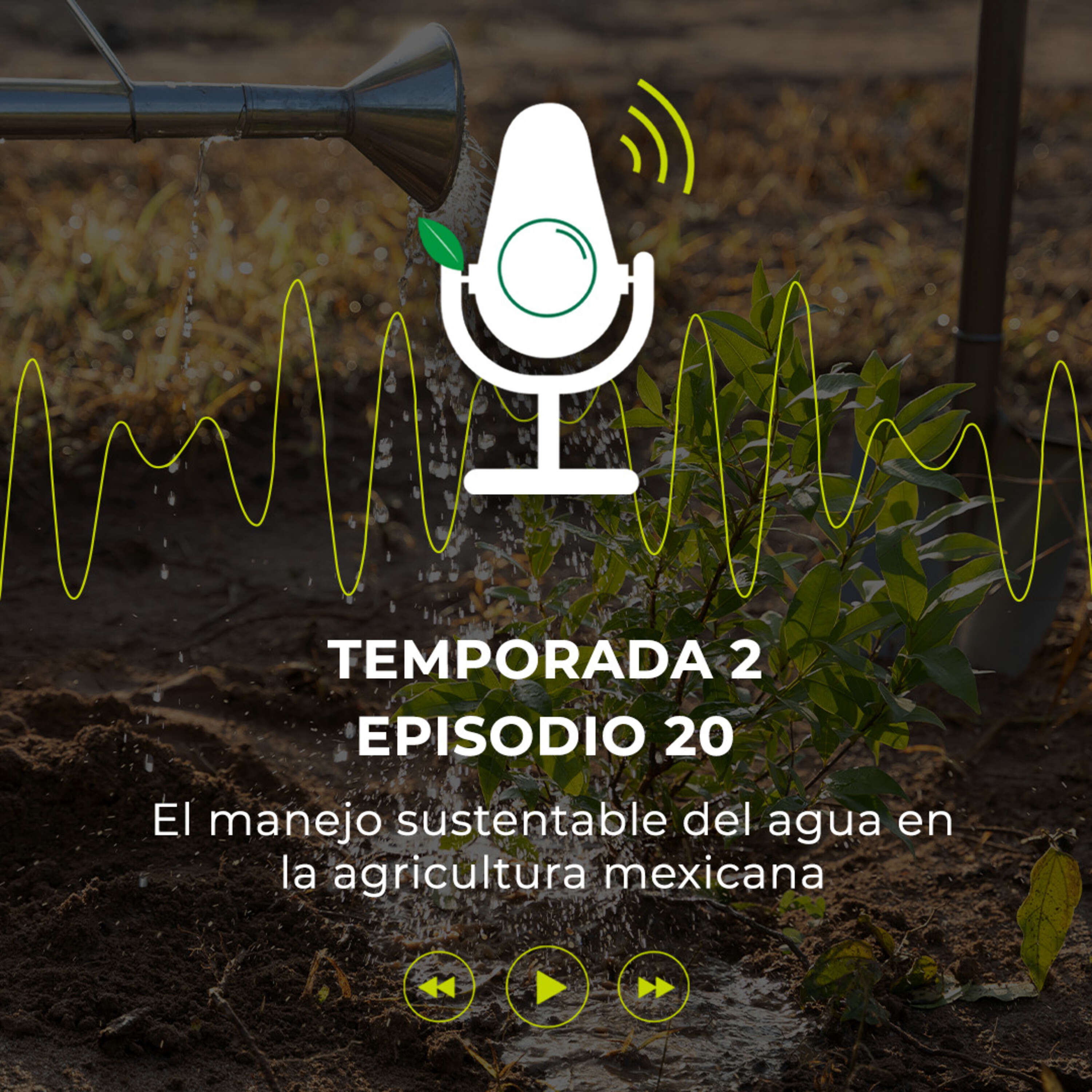 ⁣El manejo sustentable del agua en la agricultura mexicana